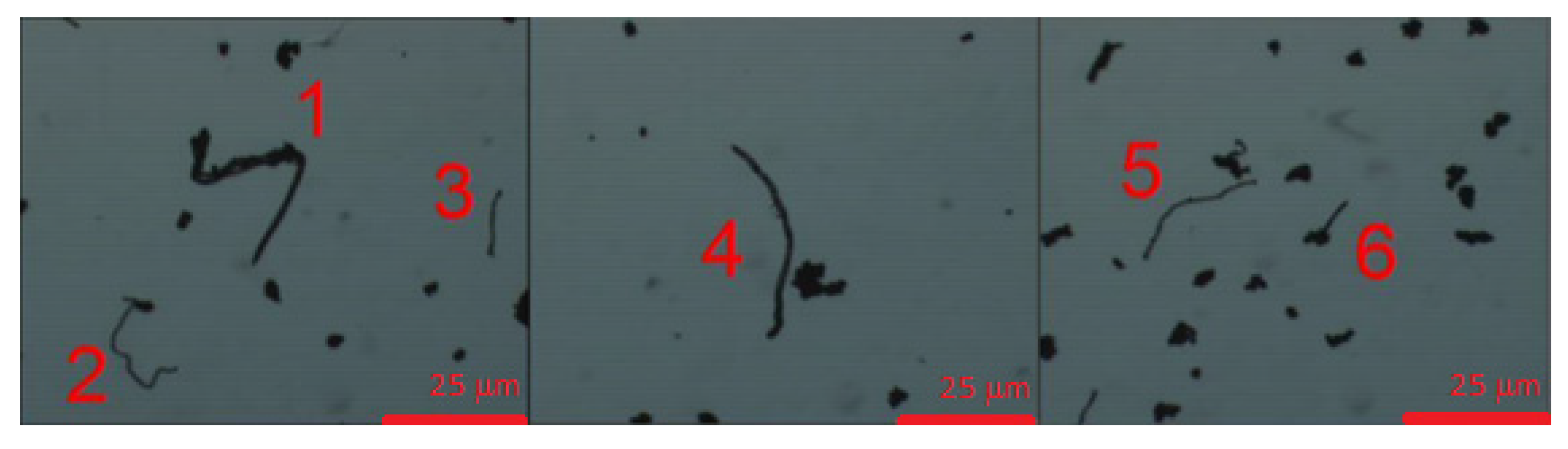 Fibers 04 00007 g004