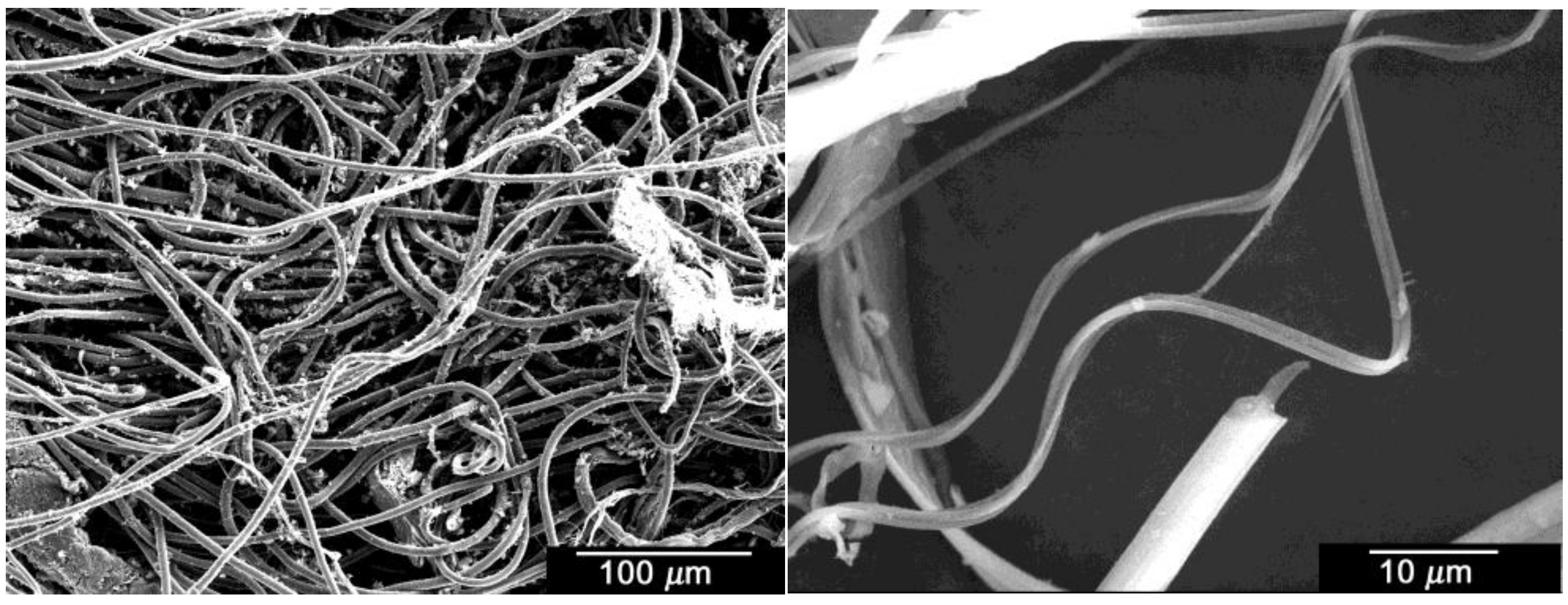 Fibers 04 00012 g003