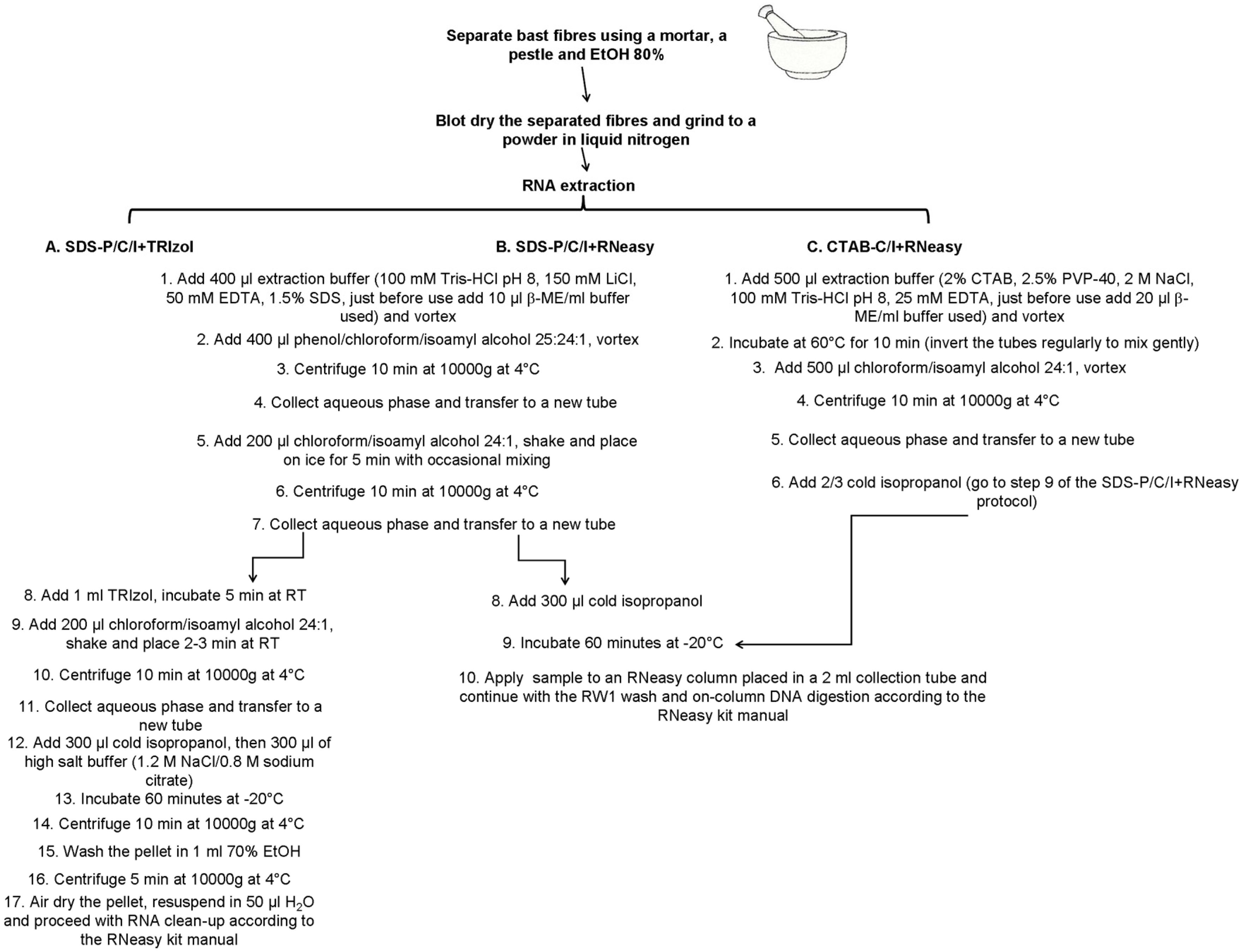 Fibers 04 00023 g001