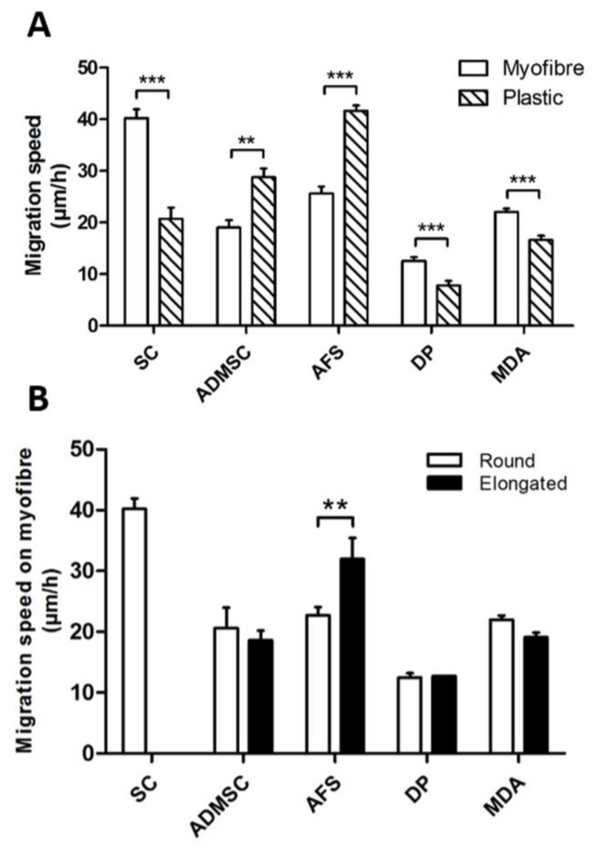 Fibers 05 00005 g002