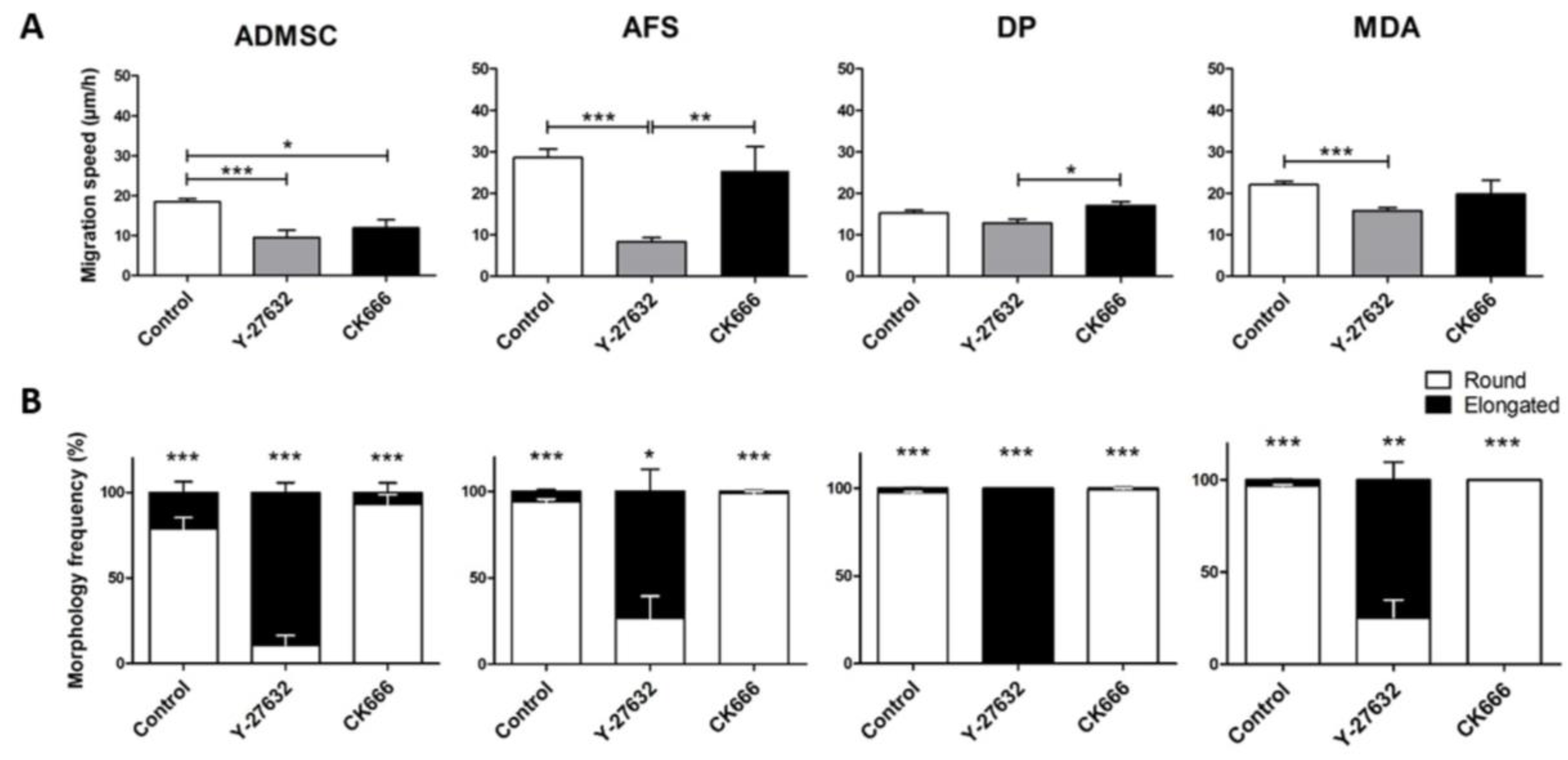 Fibers 05 00005 g003