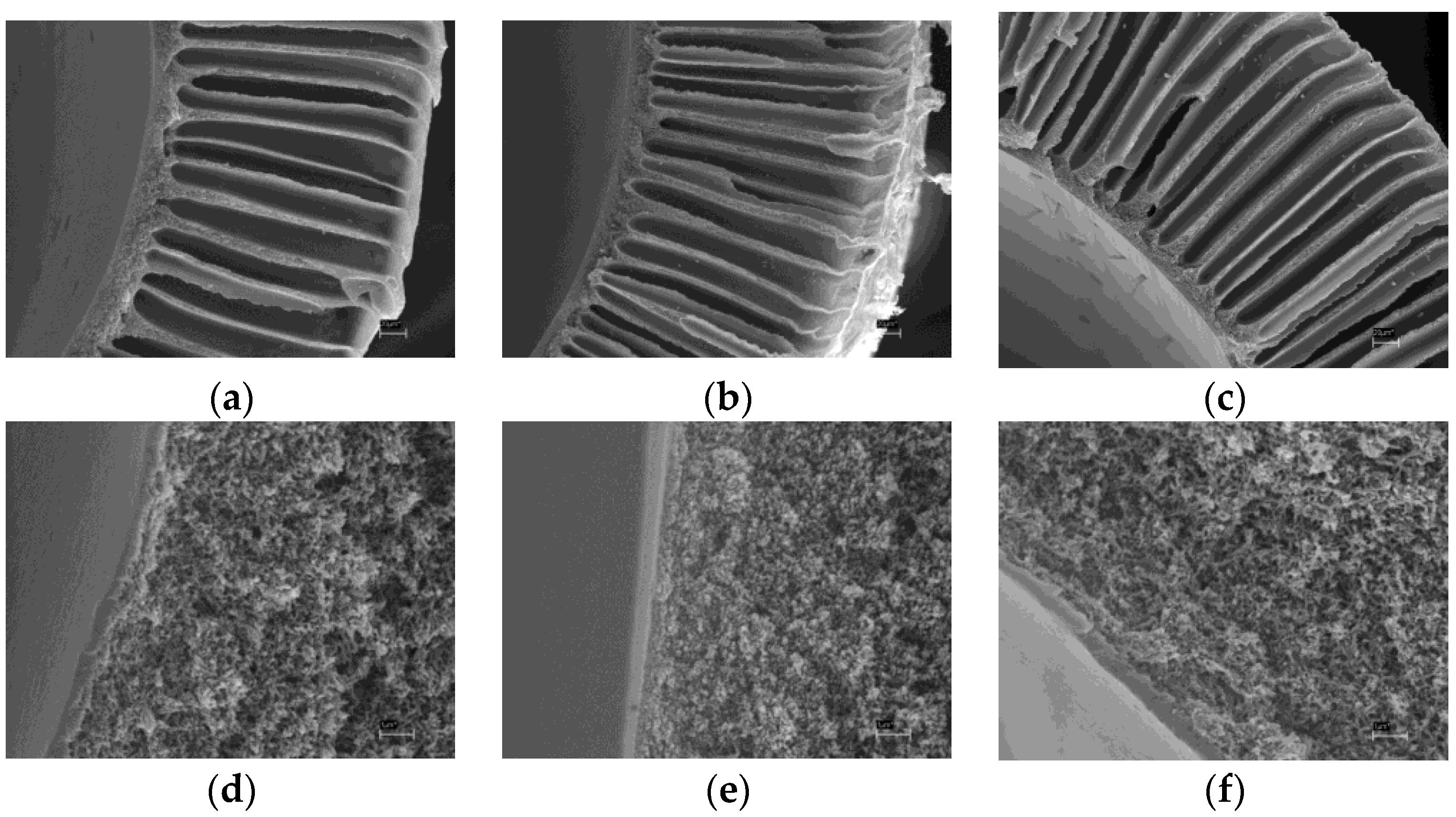 Fibers 05 00006 g006