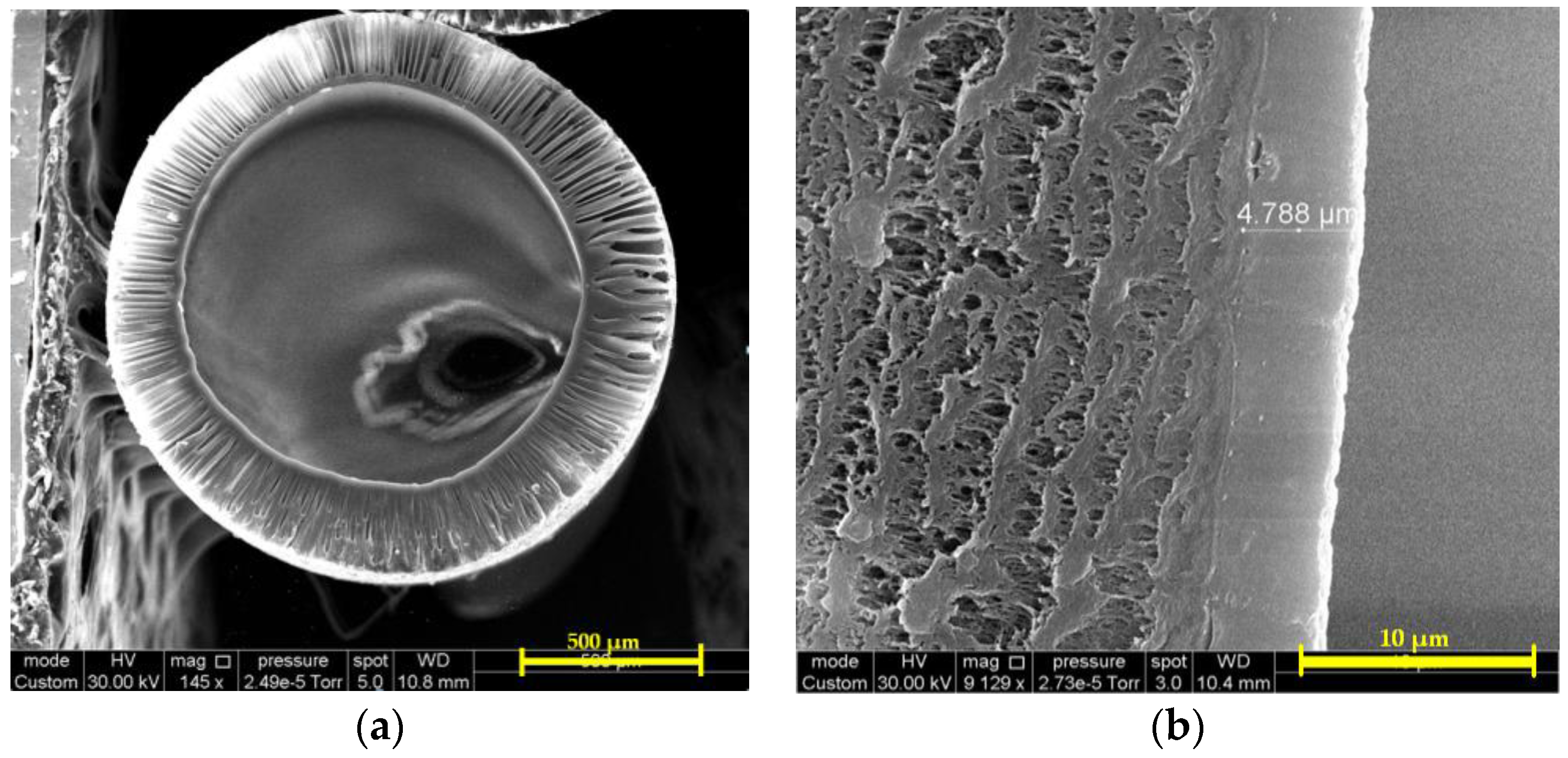 Fibers 05 00006 g011