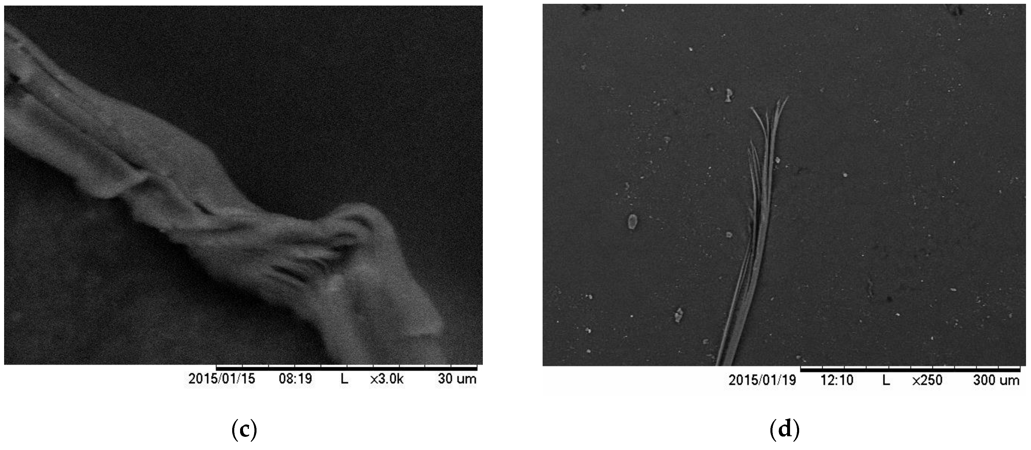 Fibers 05 00007 g005b