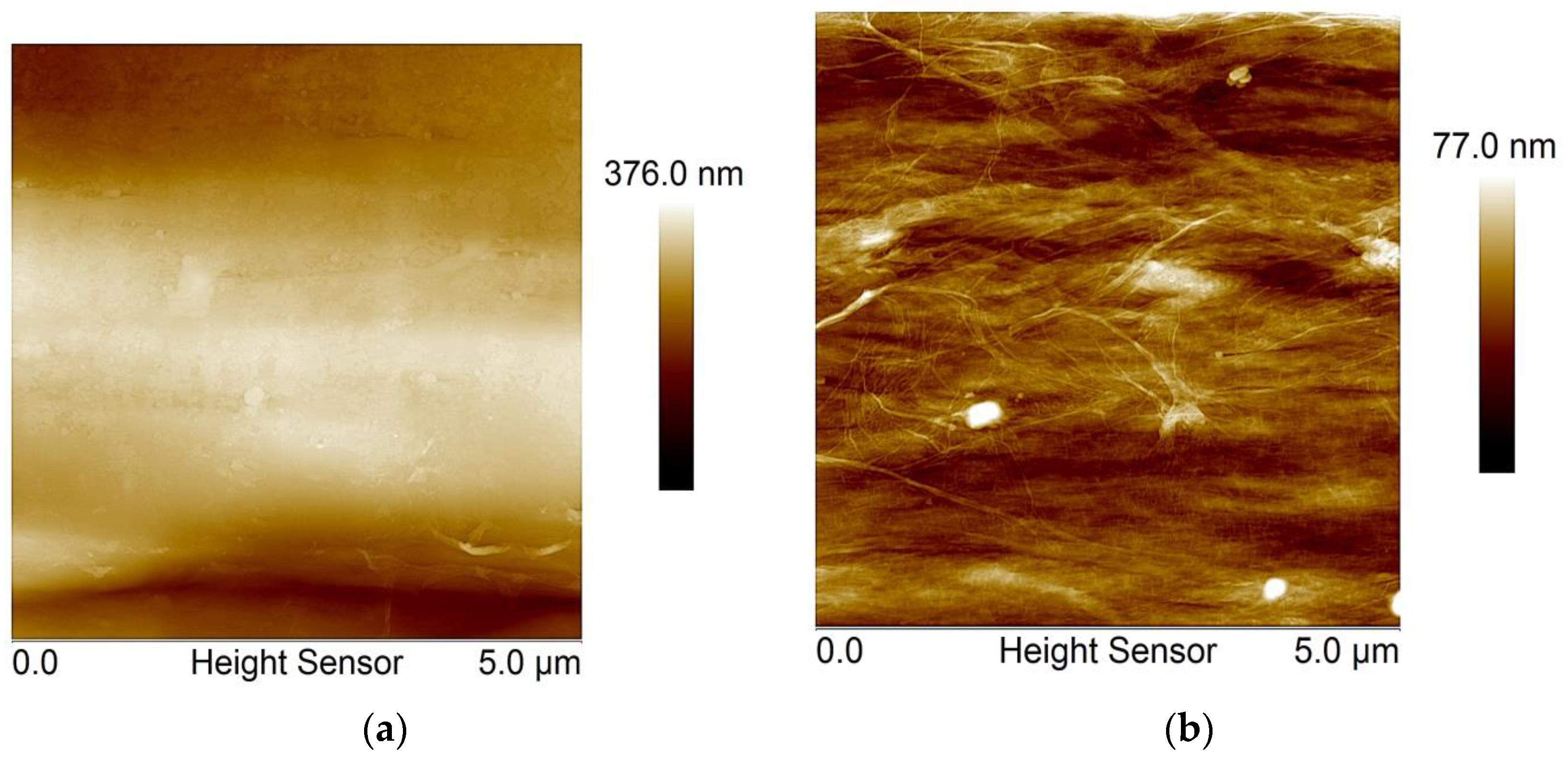 Fibers 05 00007 g007