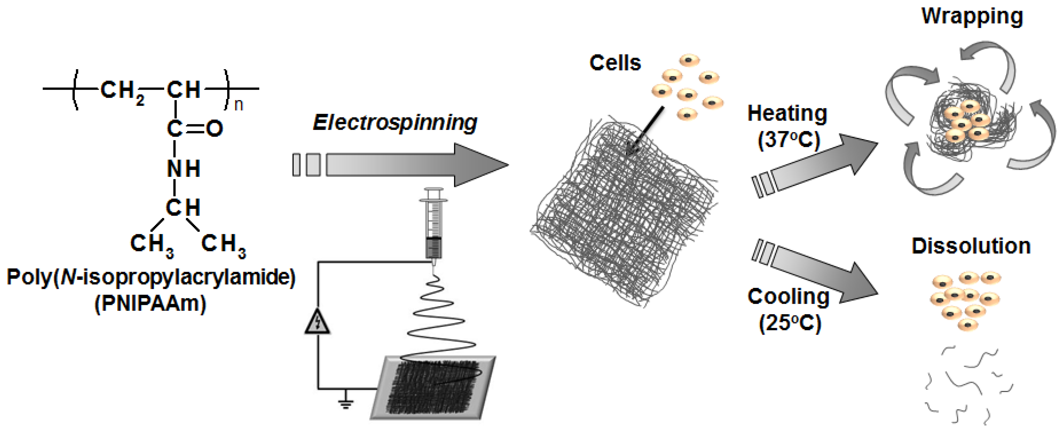 Fibers 05 00013 g001