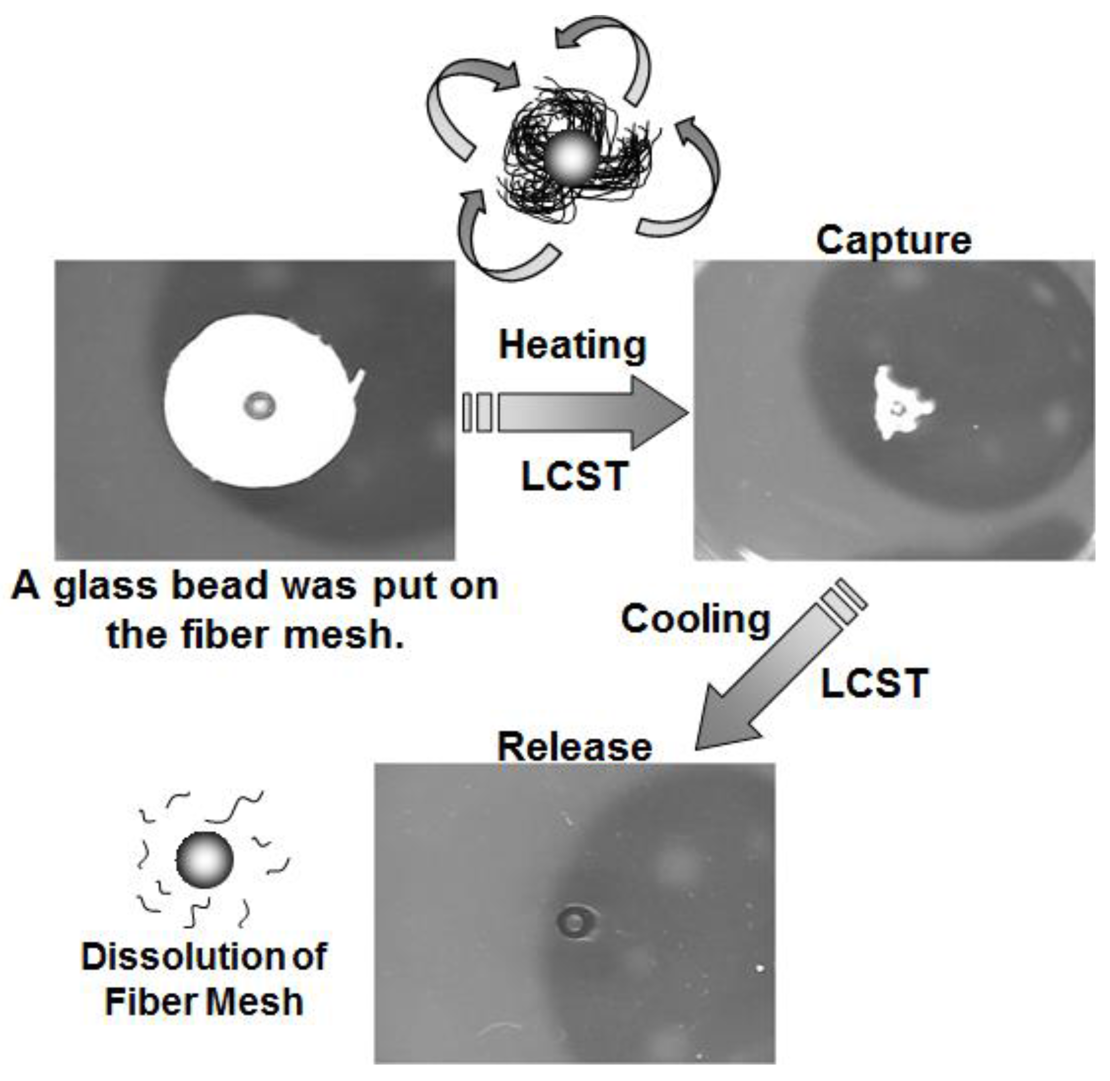 Fibers 05 00013 g005