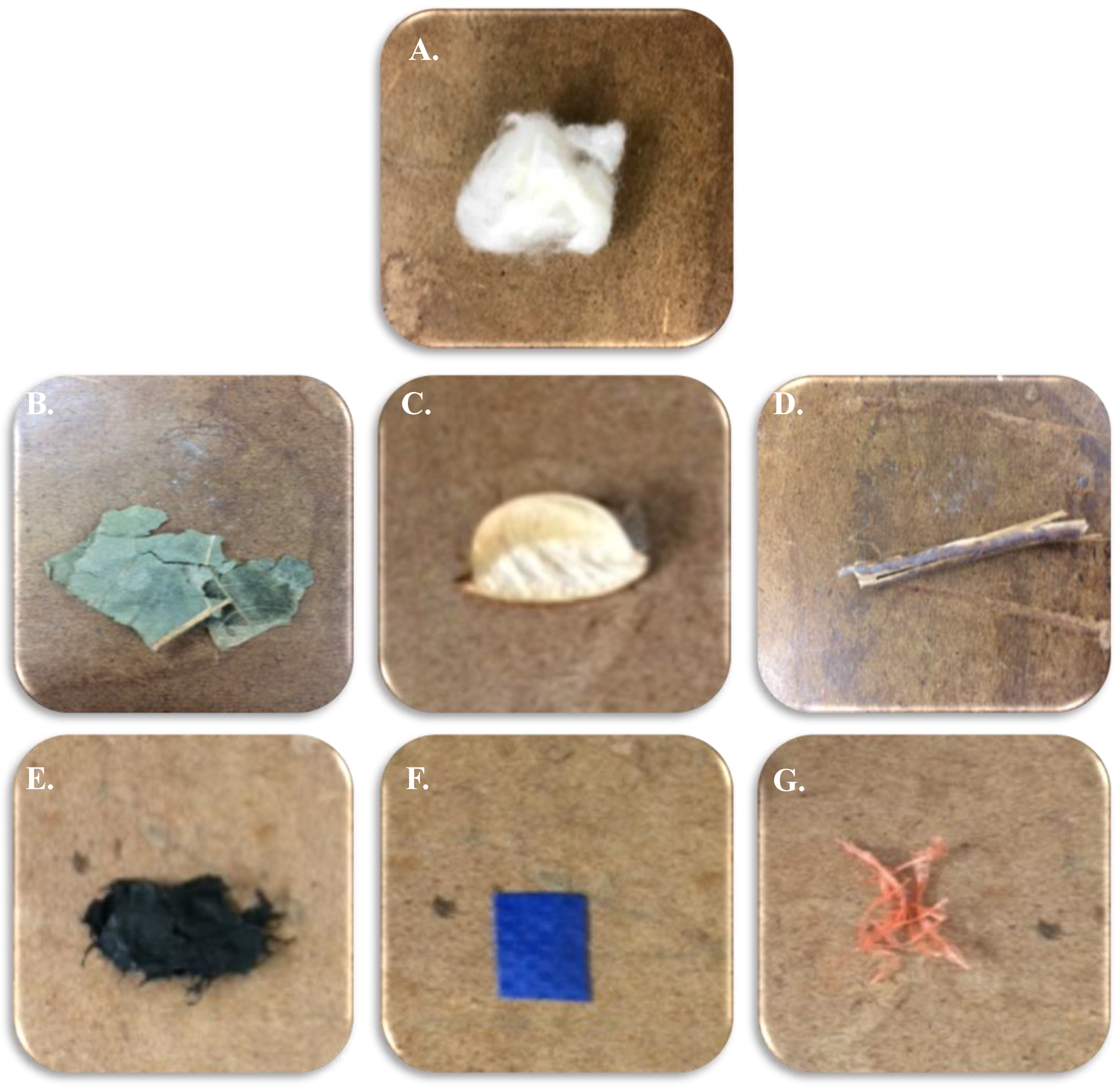 Fibers 05 00020 g001