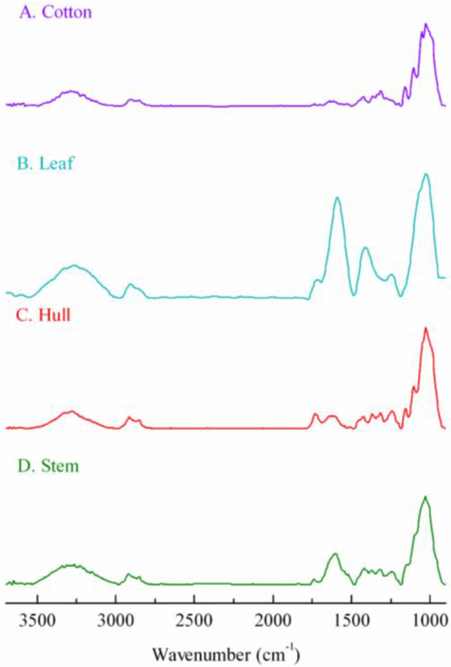 Fibers 05 00020 g003