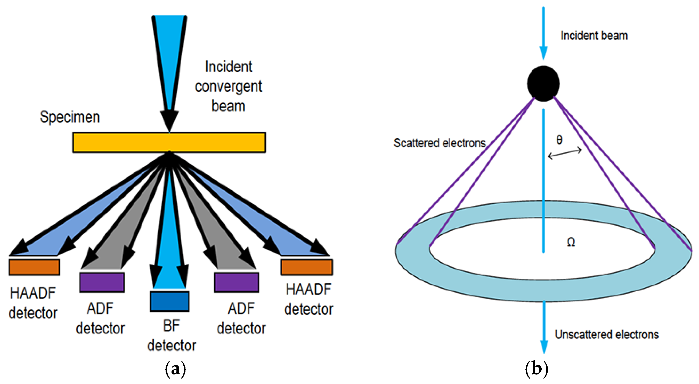 Fibers 05 00024 g007