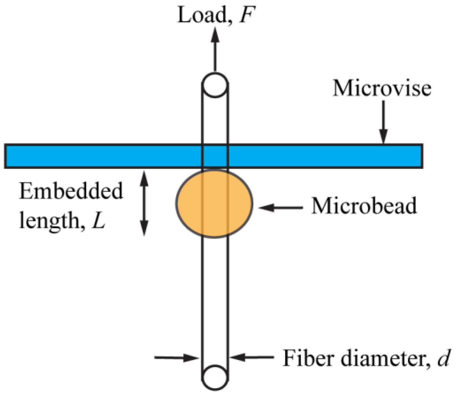 Fibers 05 00031 g001