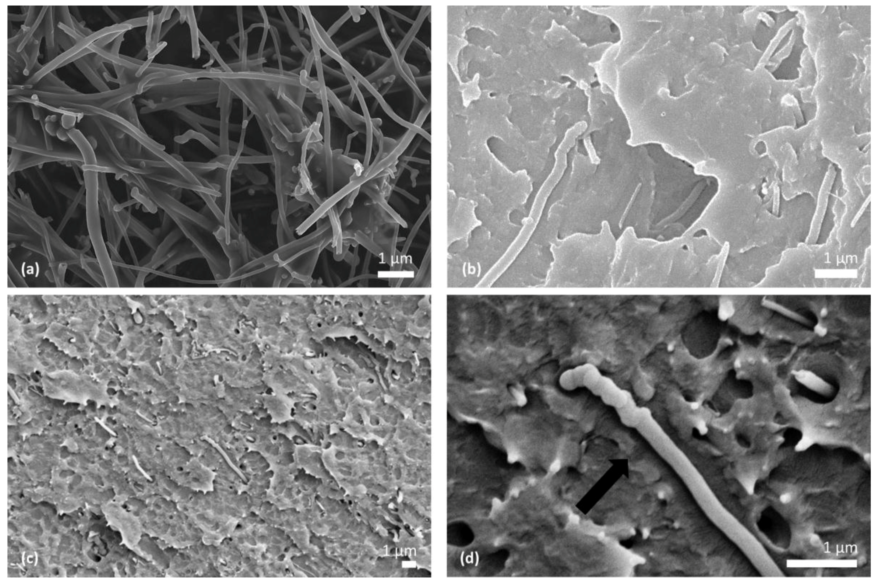 Fibers 05 00032 g003