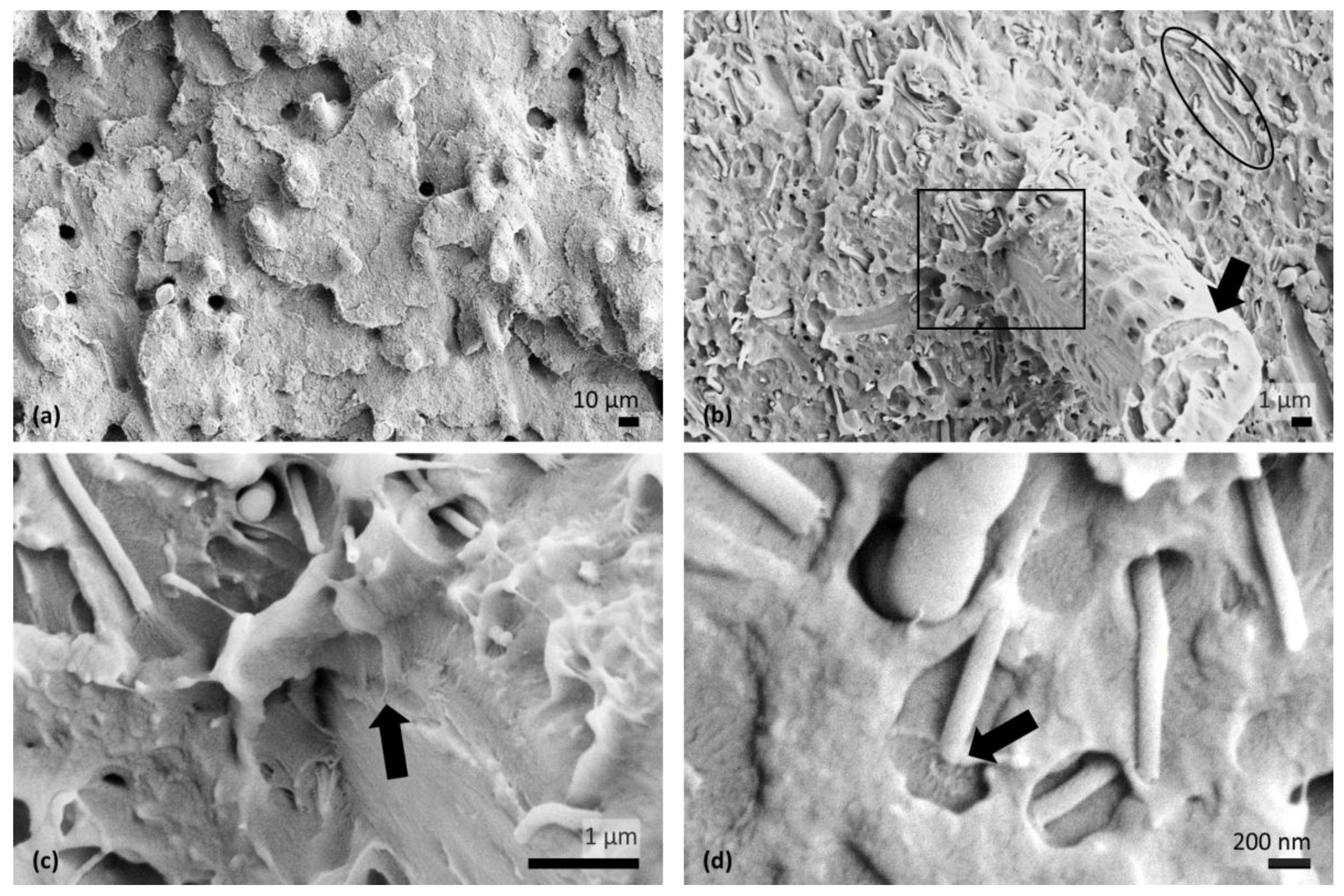 Fibers 05 00032 g004