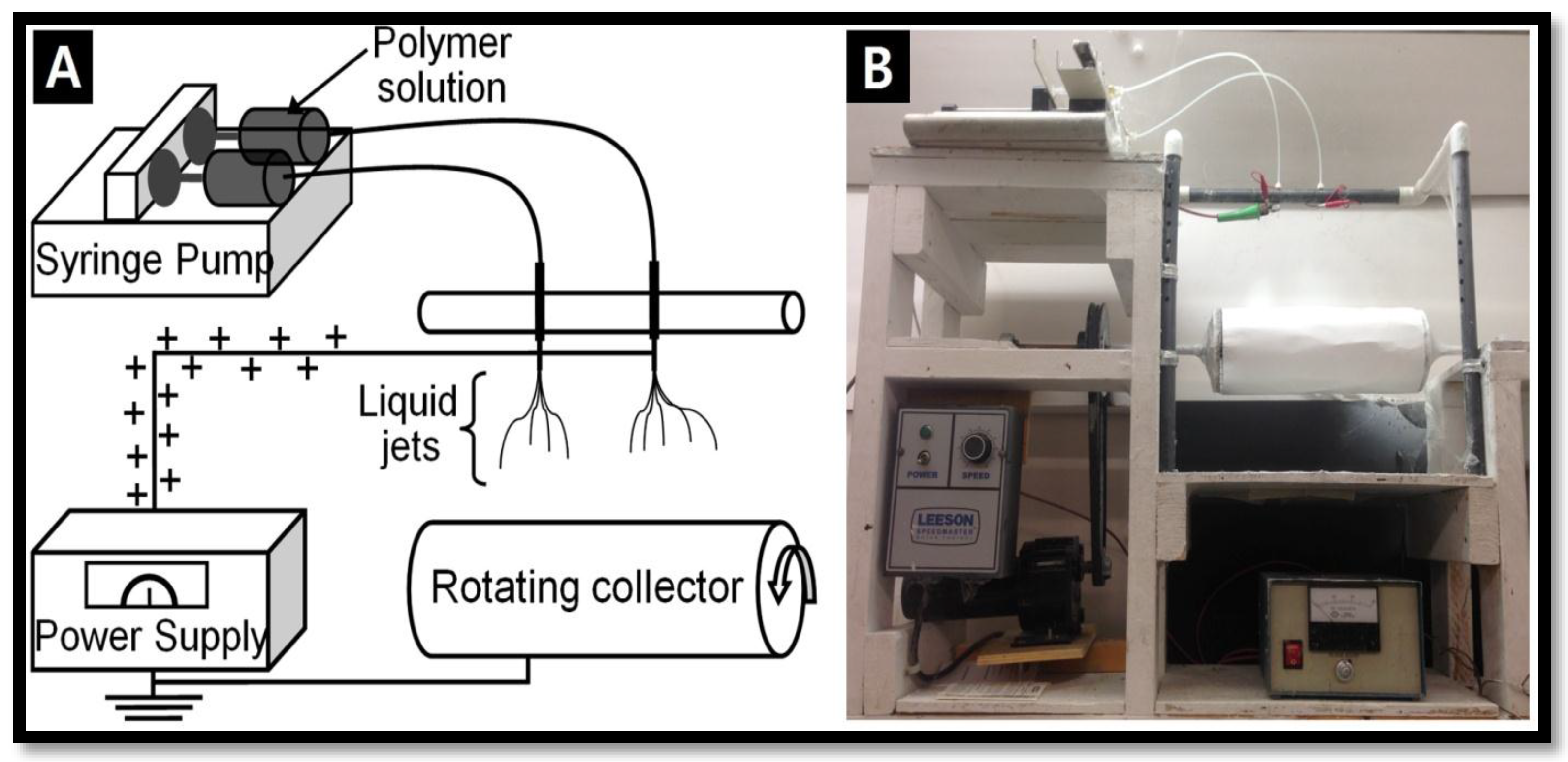 Fibers 05 00033 g001