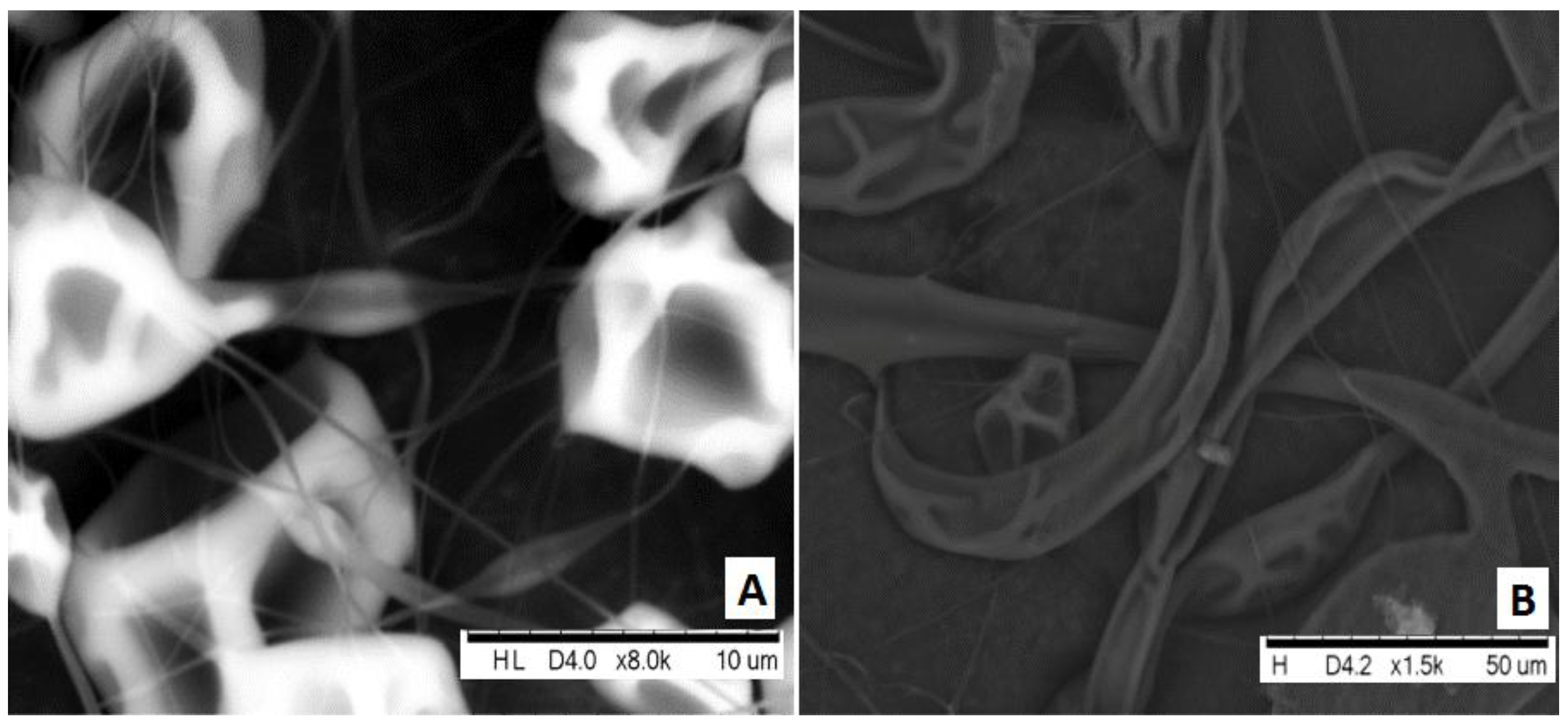 Fibers 05 00033 g004