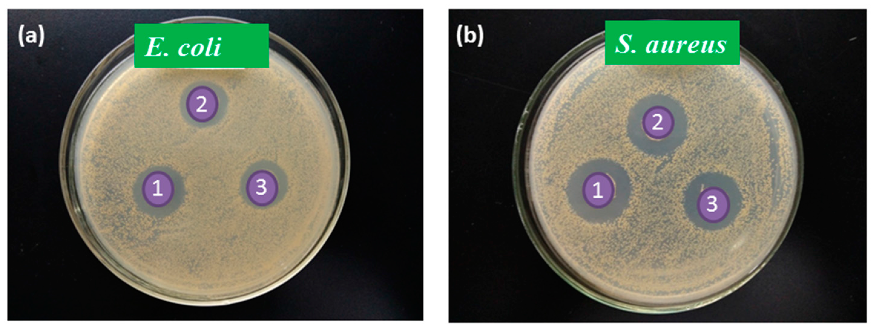 Fibers 05 00035 g009