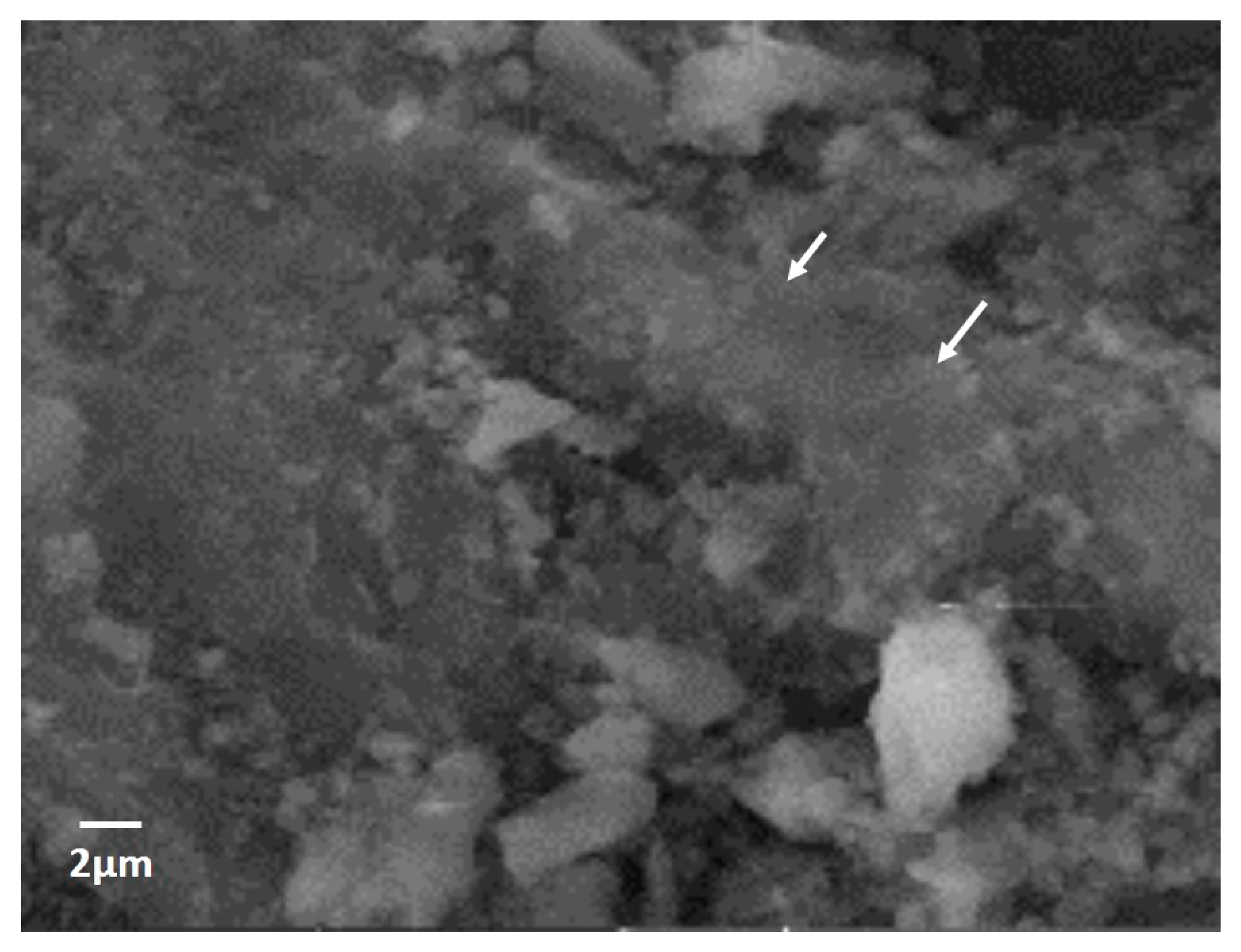 Fibers 05 00039 g010