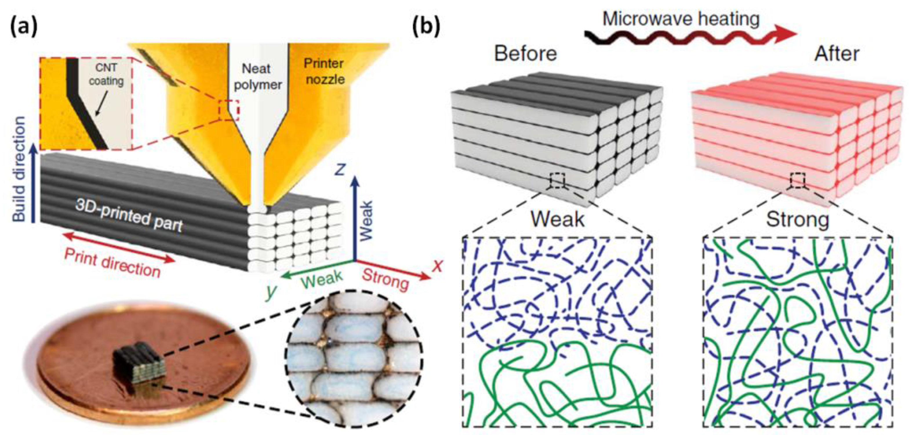Fibers 05 00040 g003