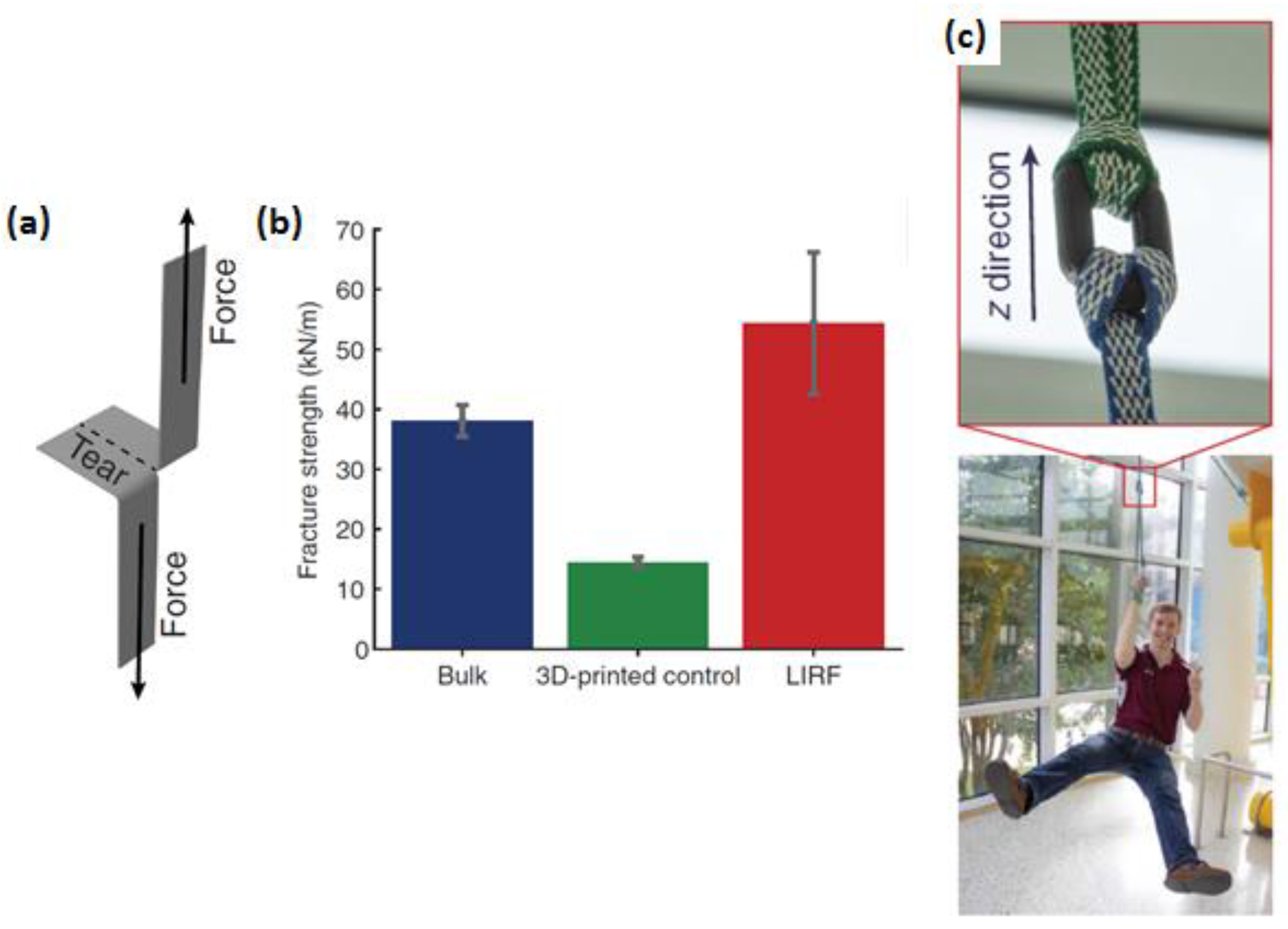 Fibers 05 00040 g004