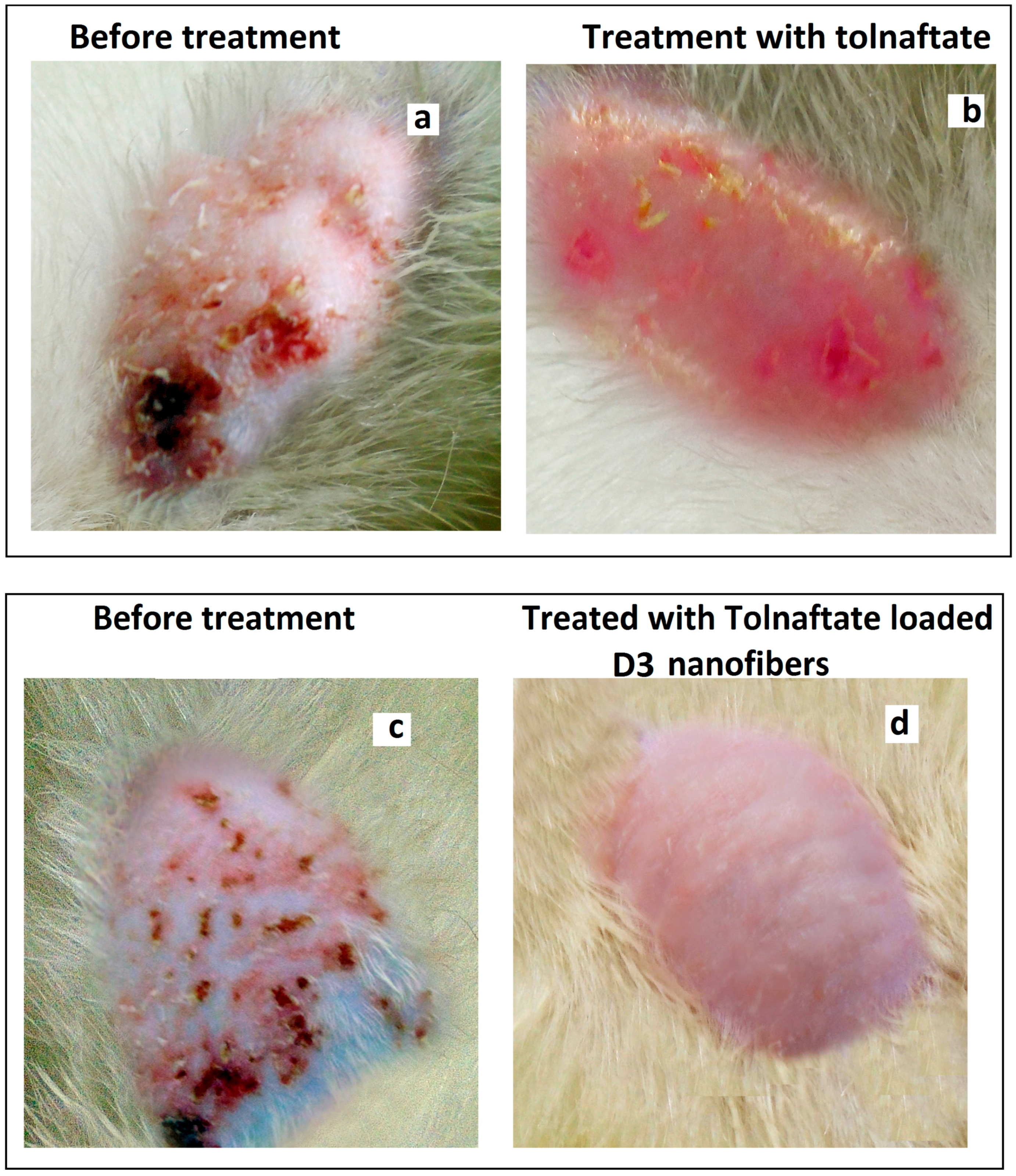 Fibers 05 00041 g007
