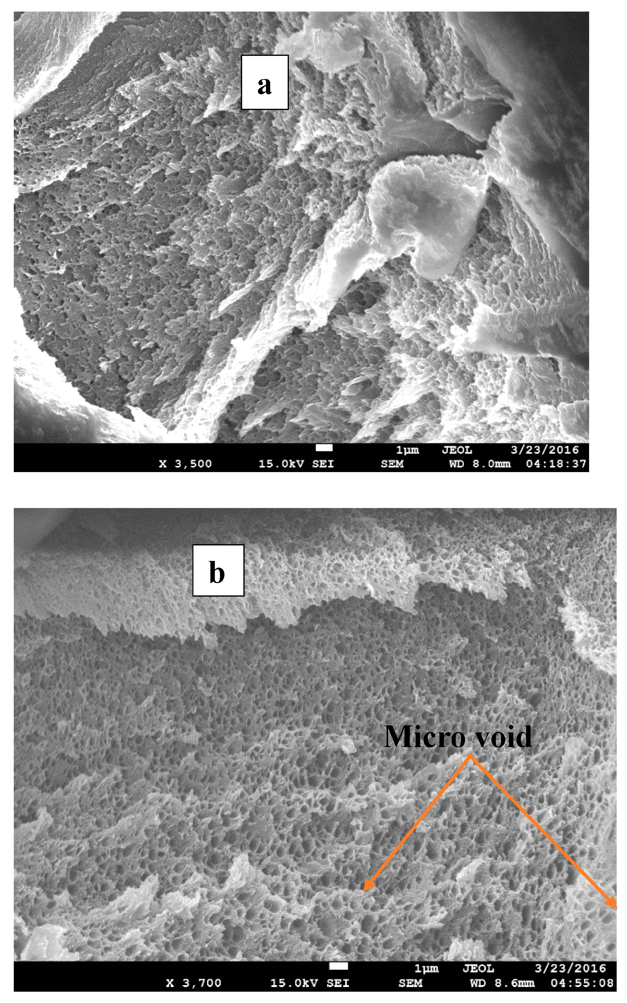 Fibers 05 00042 g005