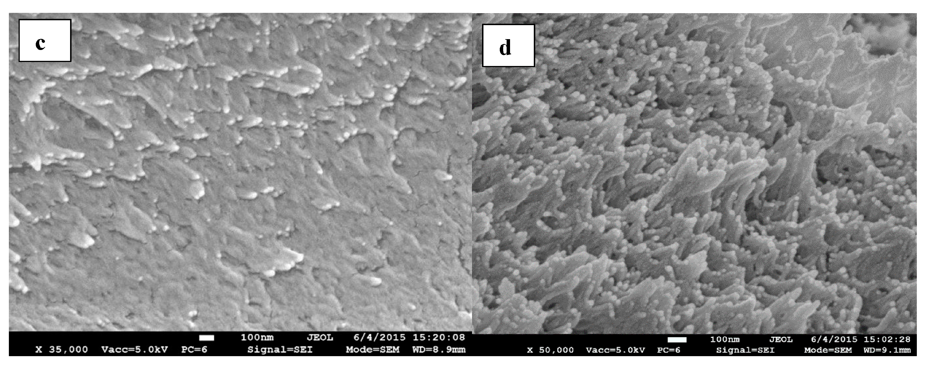 Fibers 05 00042 g006b