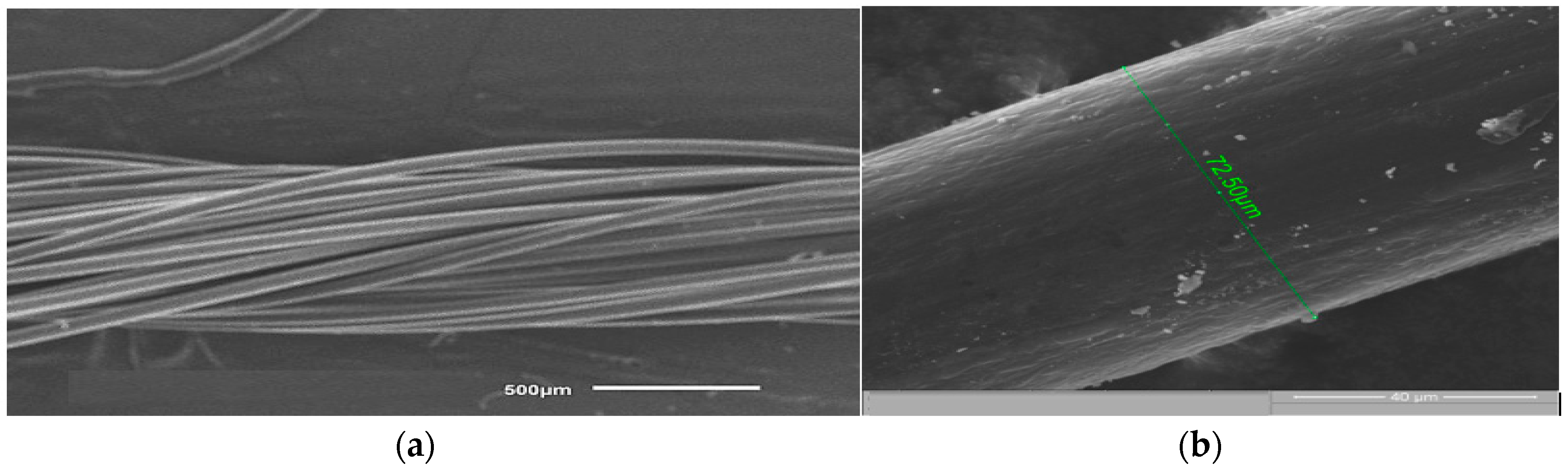 Fibers 05 00045 g006