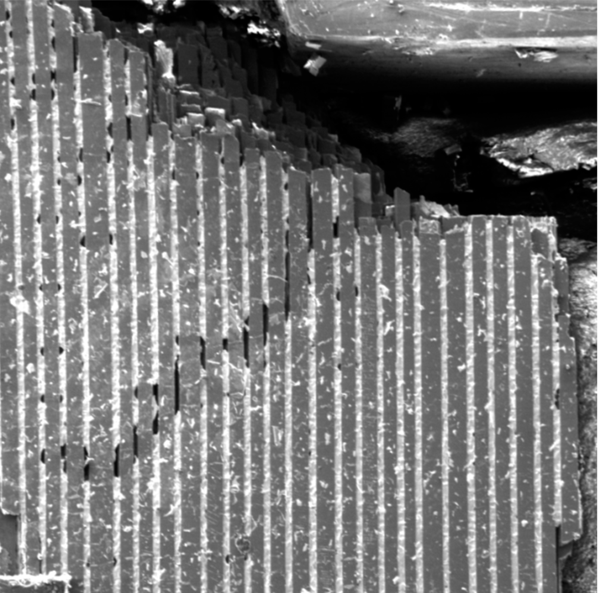 Fibers 05 00048 g007