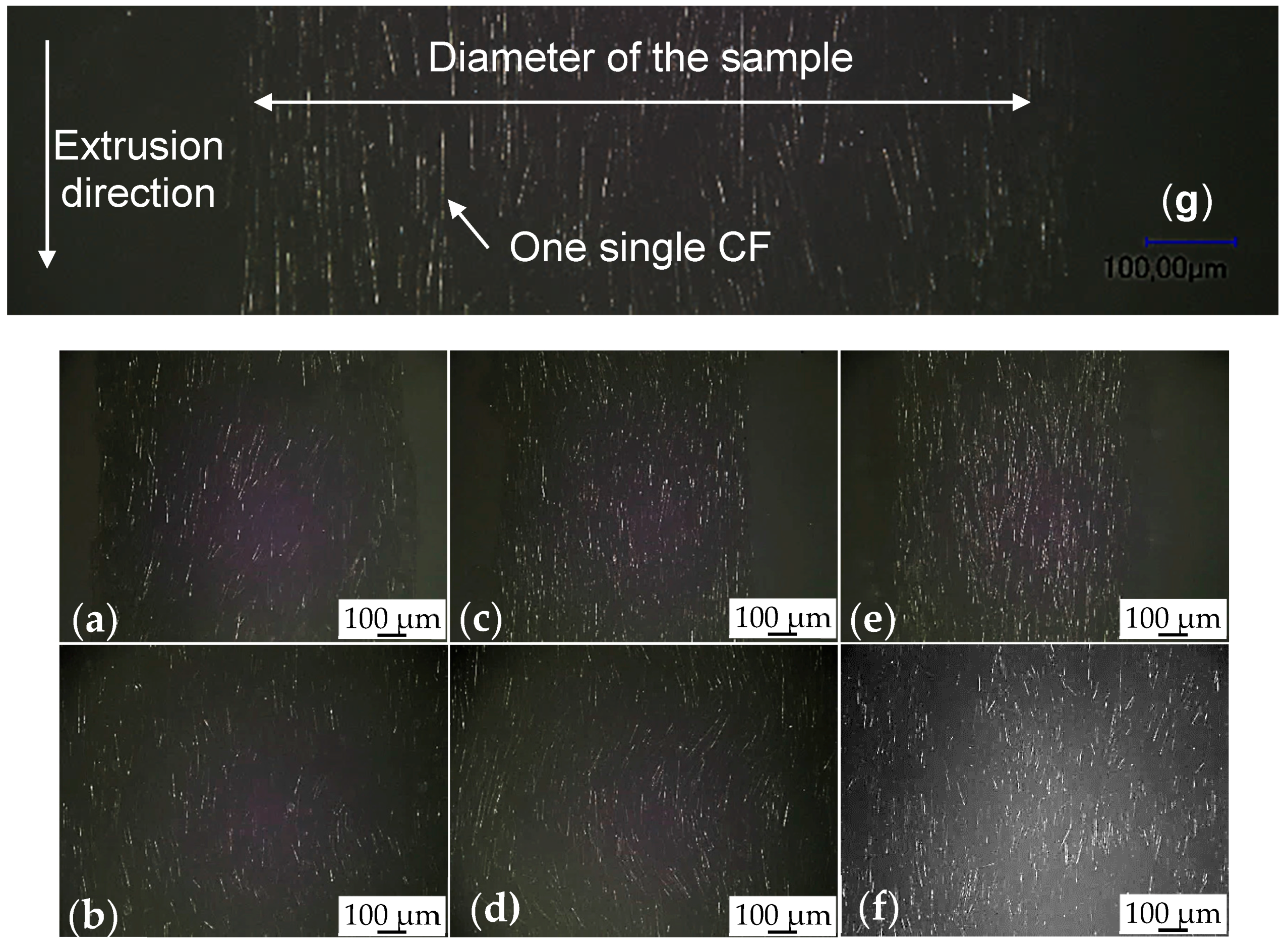 Fibers 06 00003 g007