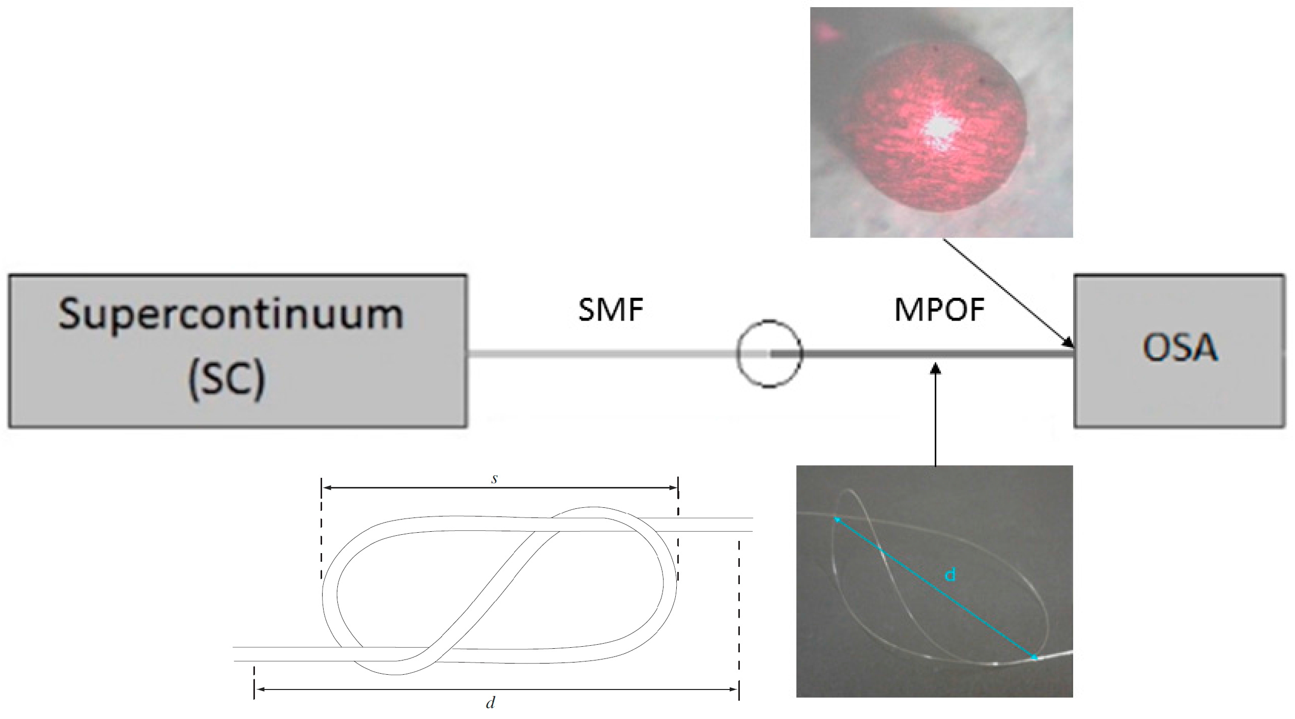 Fibers 06 00004 g006