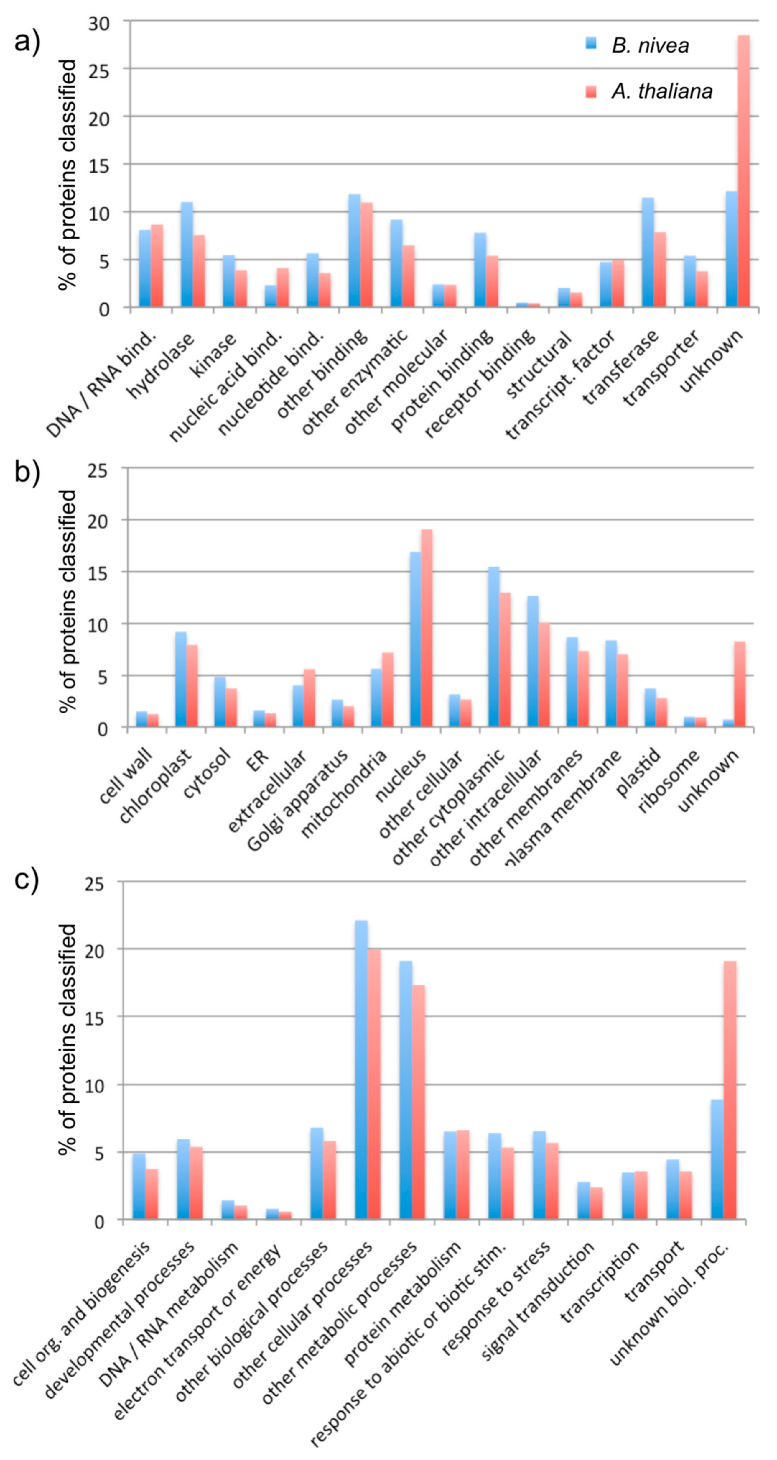 Fibers 06 00008 g002