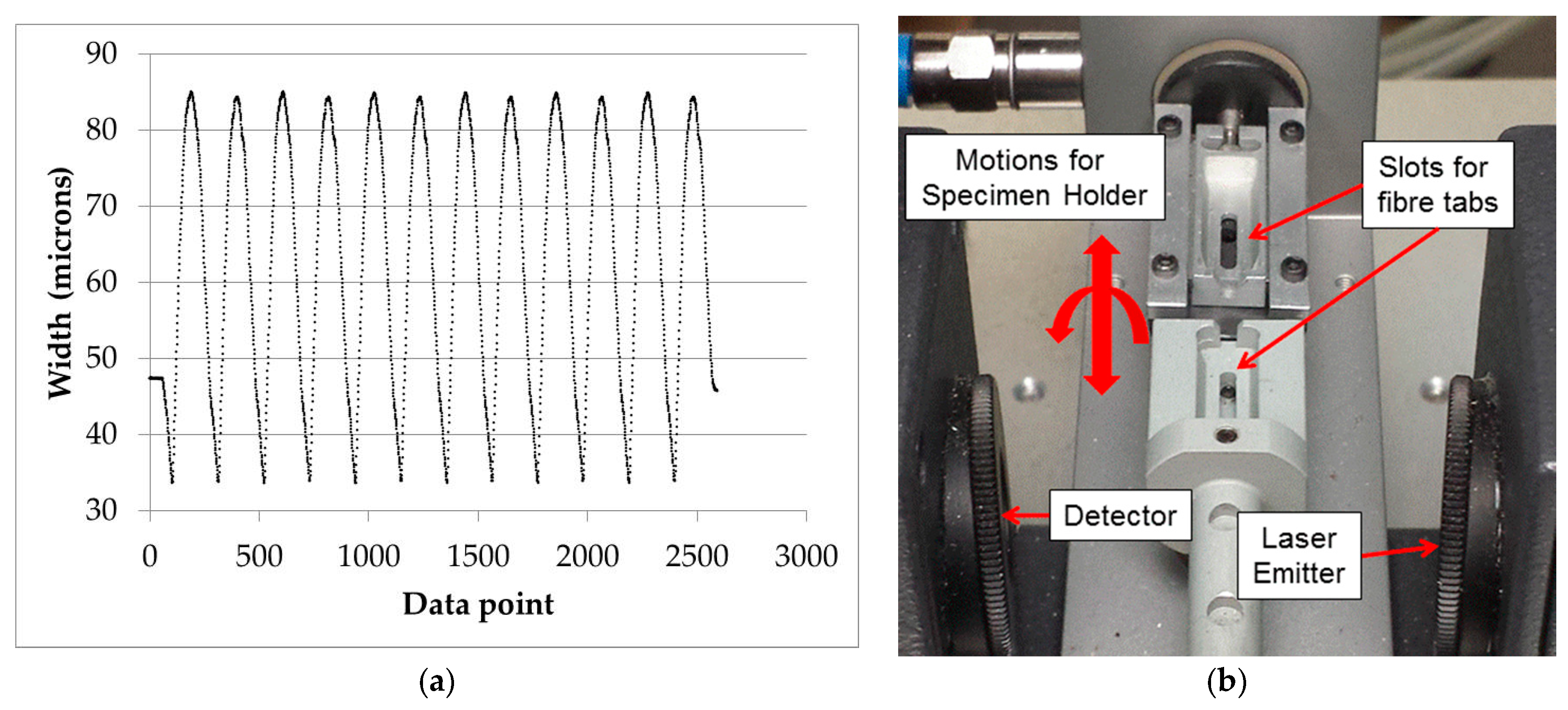 Fibers 06 00010 g002