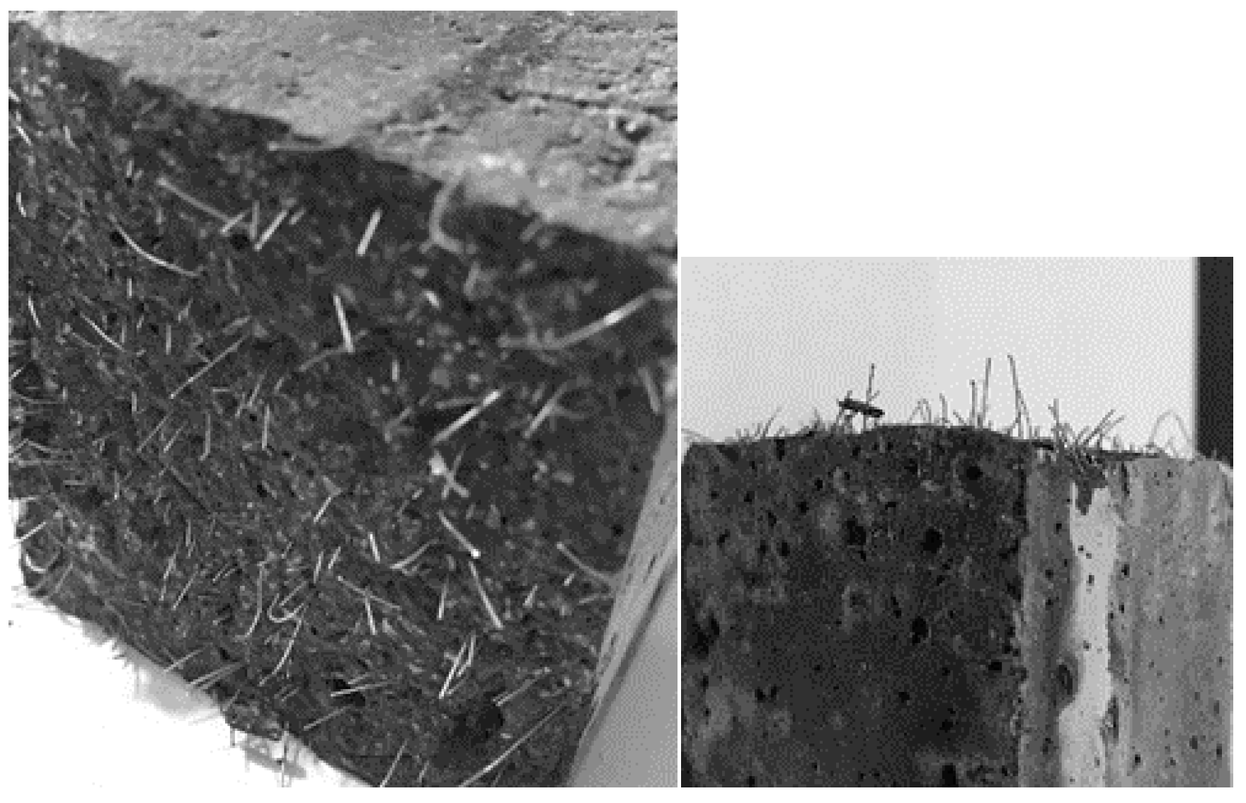 Fibers 06 00012 g010