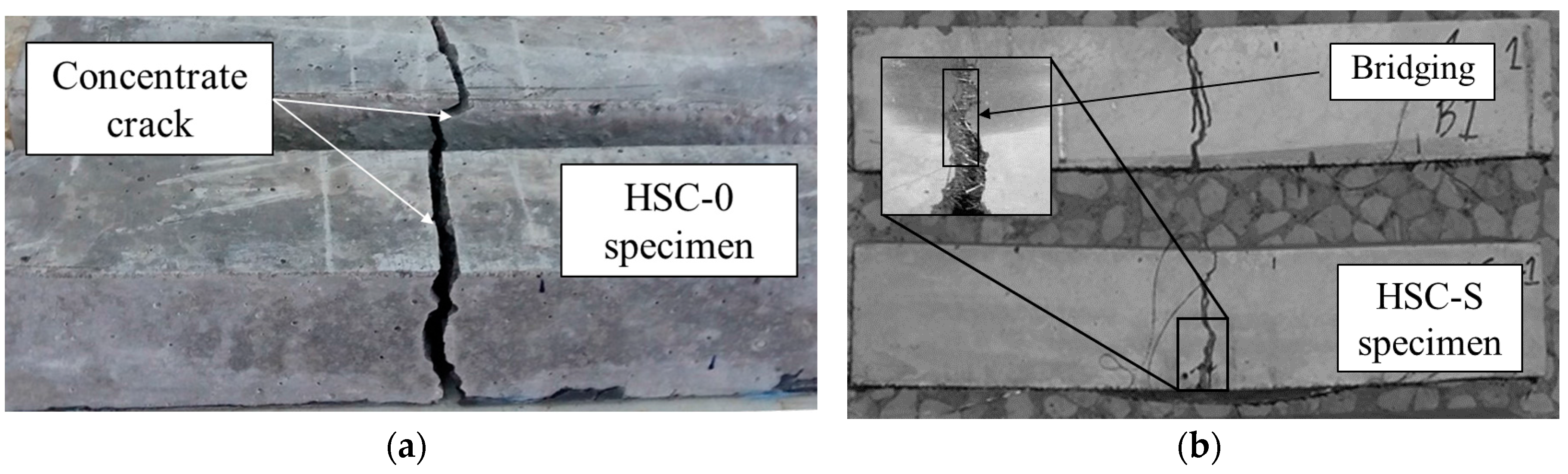 Fibers 06 00012 g011