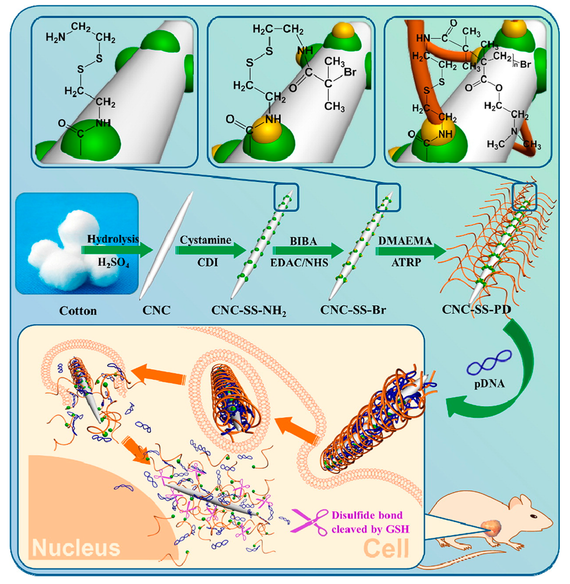 Fibers 06 00015 g004