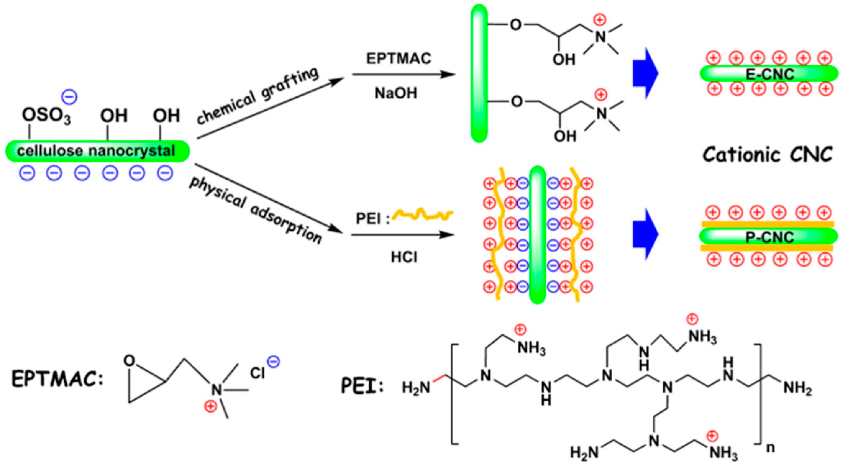 Fibers 06 00015 sch005