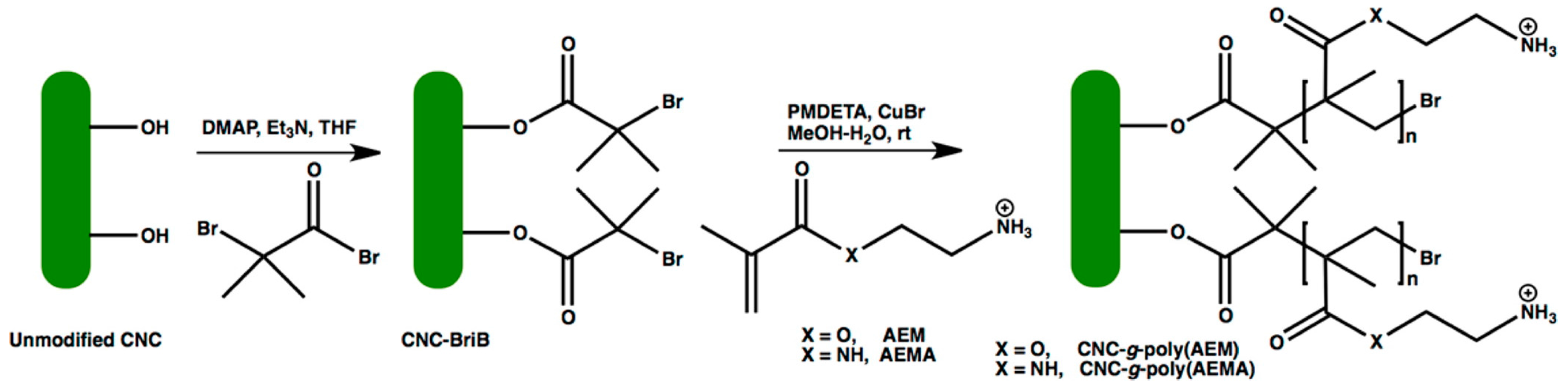 Fibers 06 00015 sch012