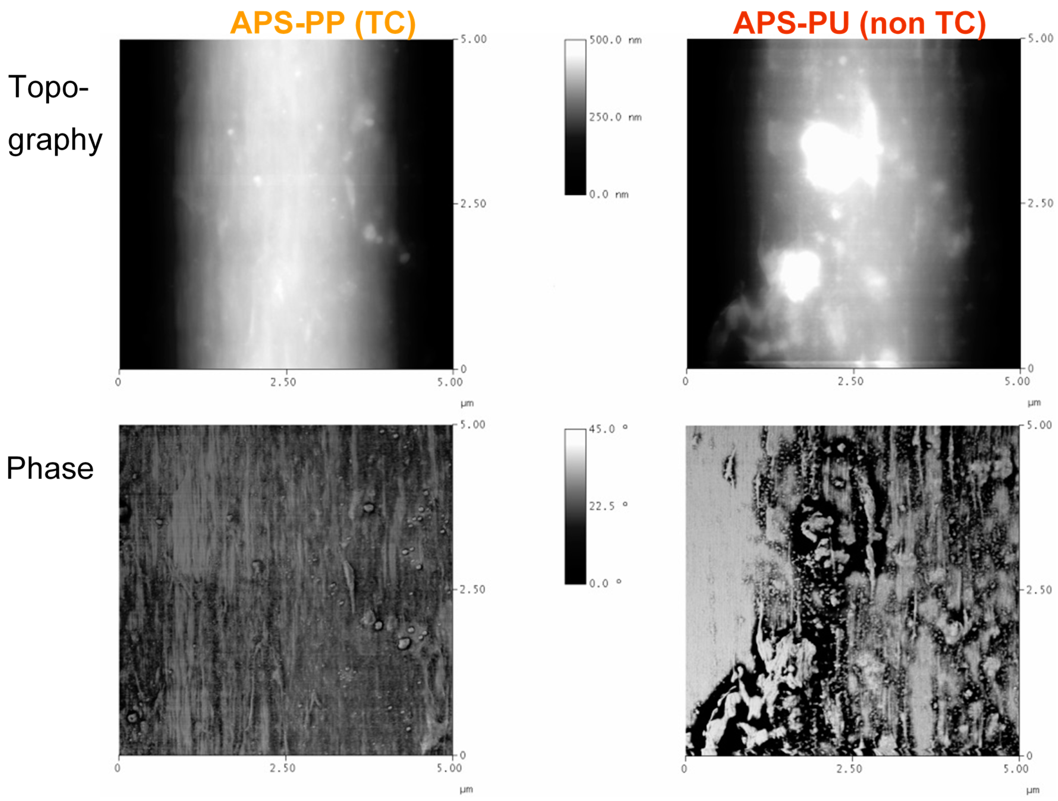 Fibers 06 00016 g007