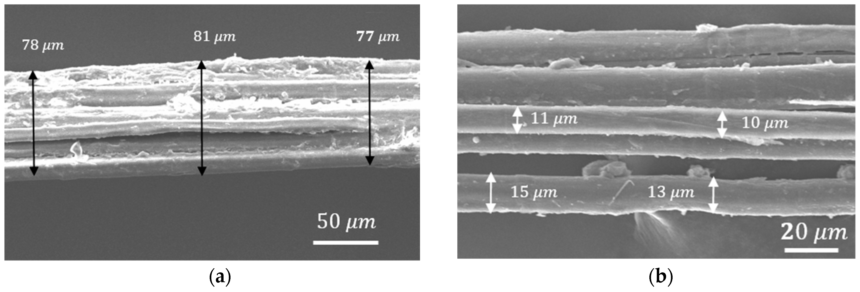 Fibers 06 00017 g001