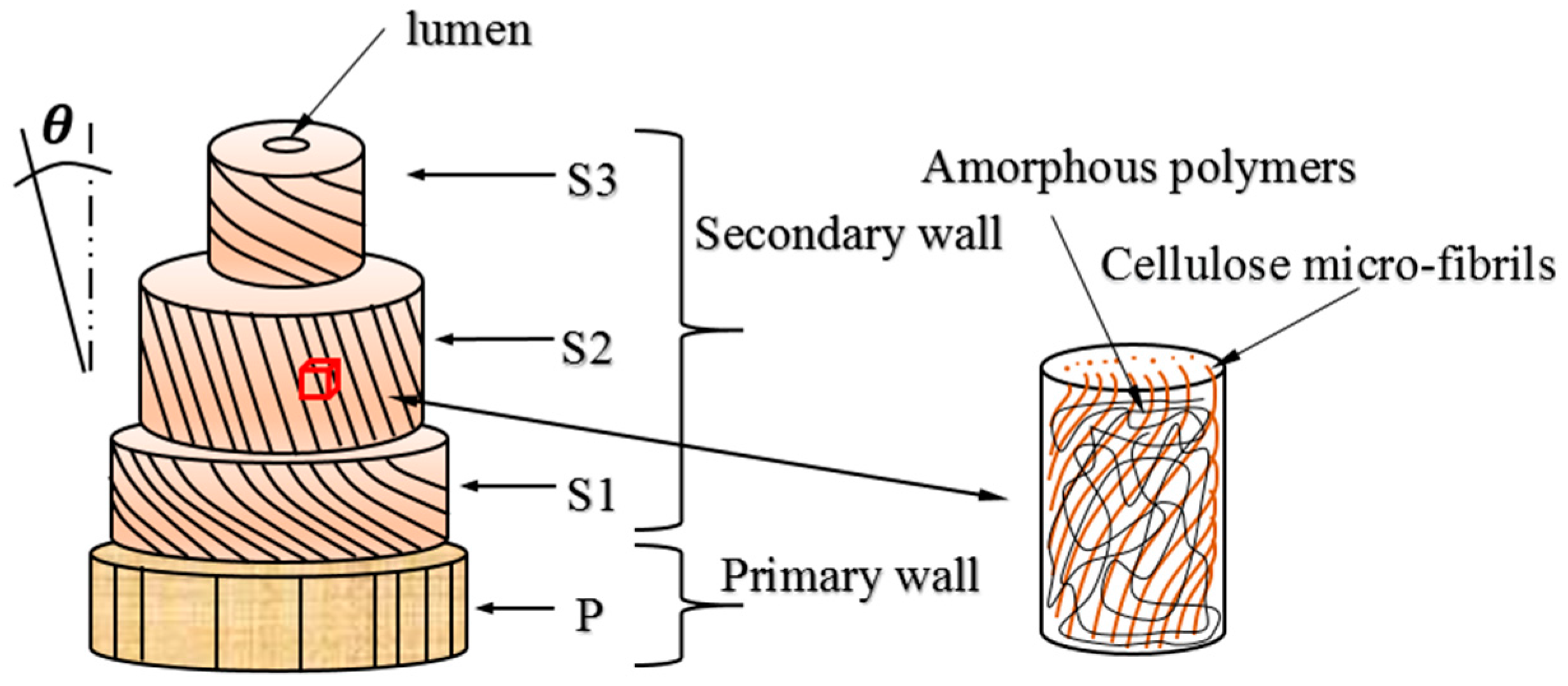 Fibers 06 00017 g002