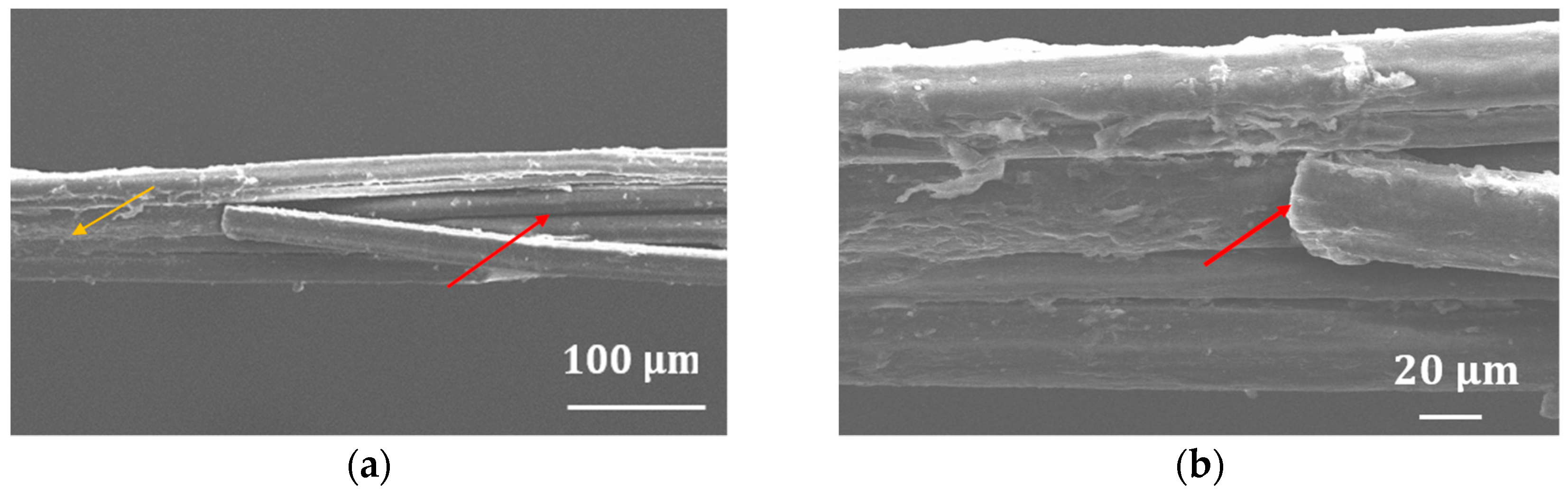 Fibers 06 00017 g004