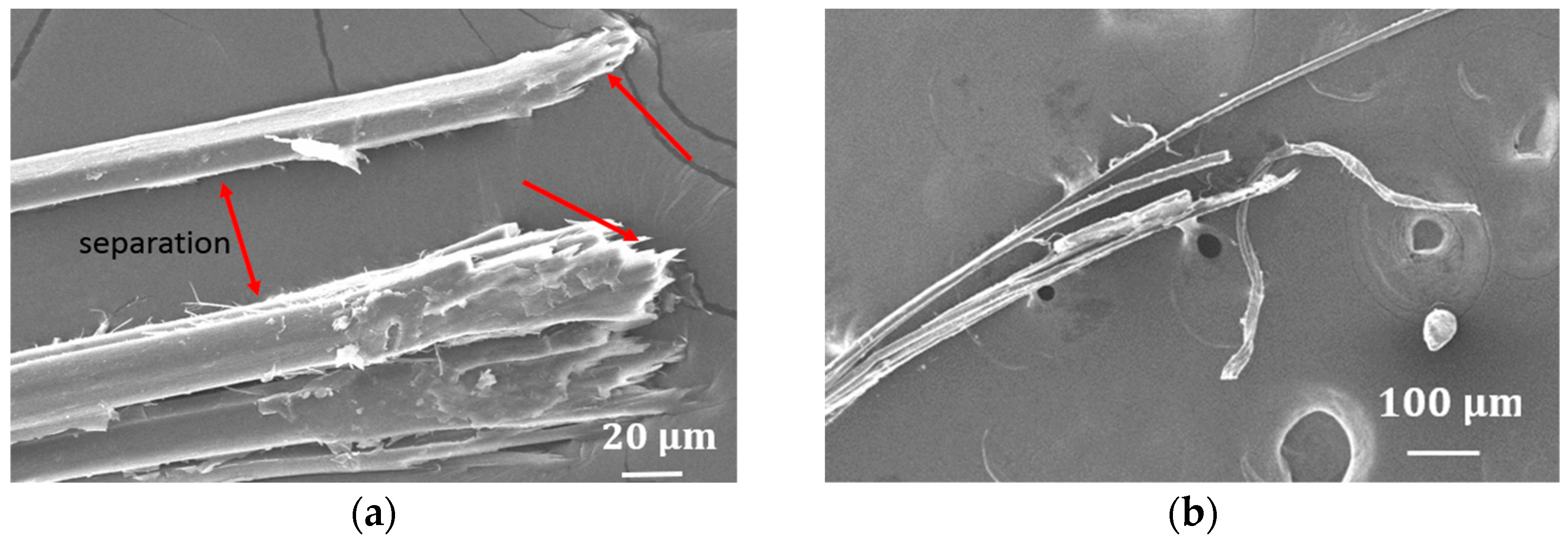 Fibers 06 00017 g005