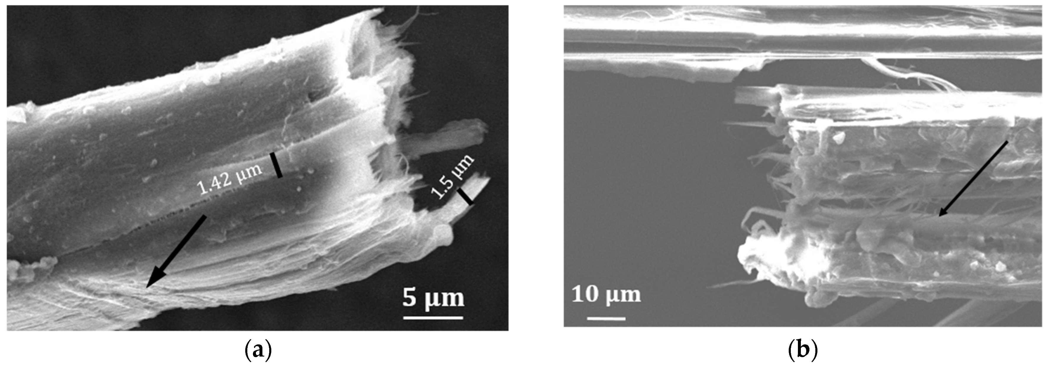 Fibers 06 00017 g006