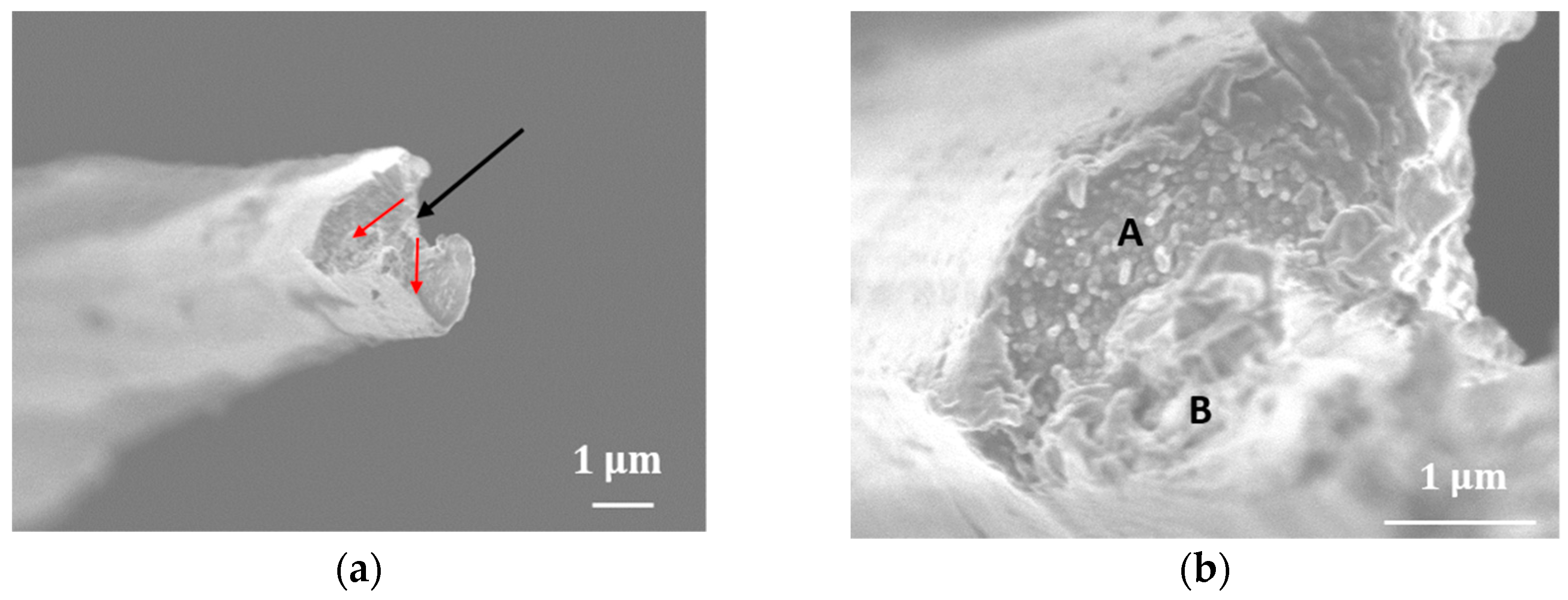 Fibers 06 00017 g007a