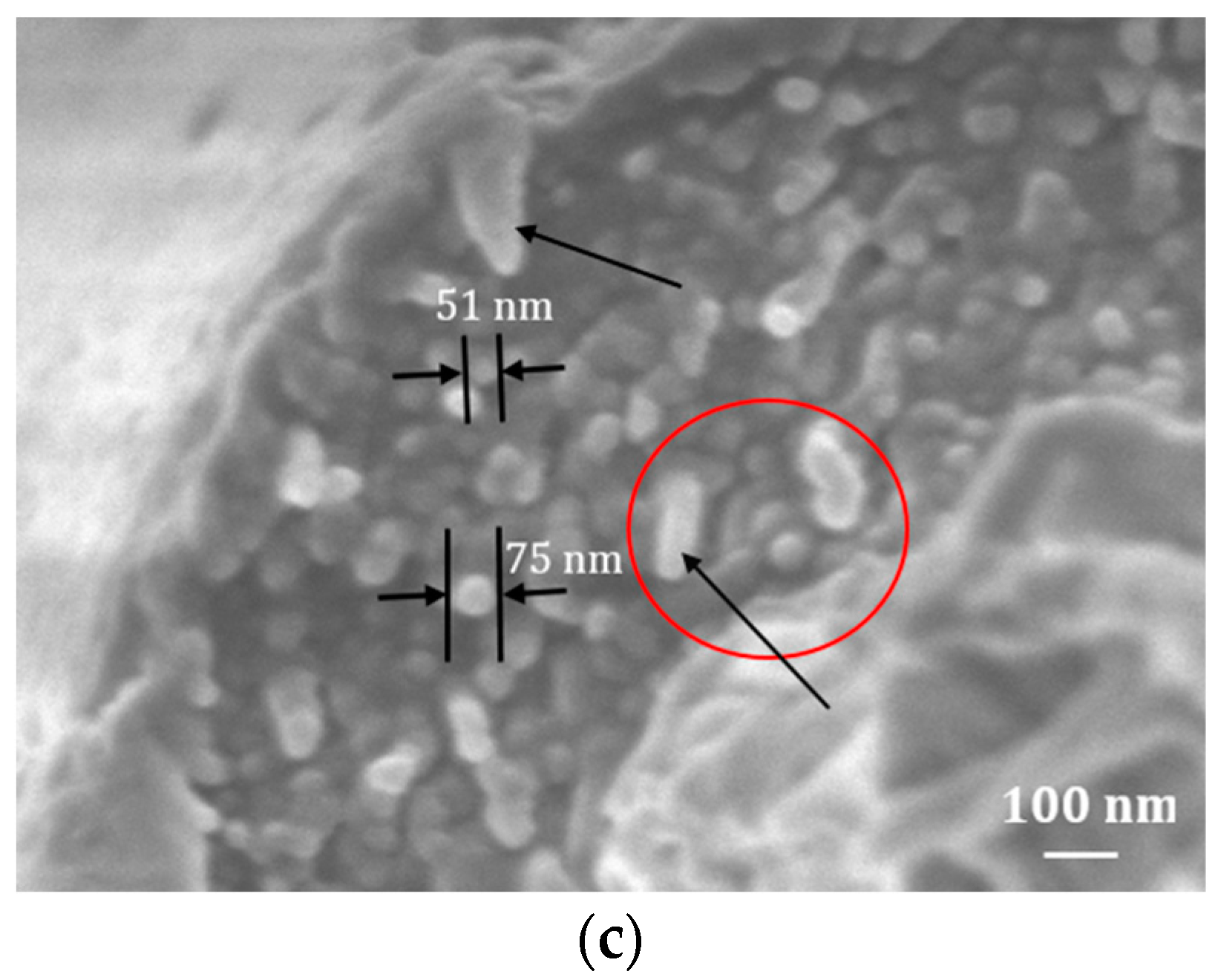 Fibers 06 00017 g007b