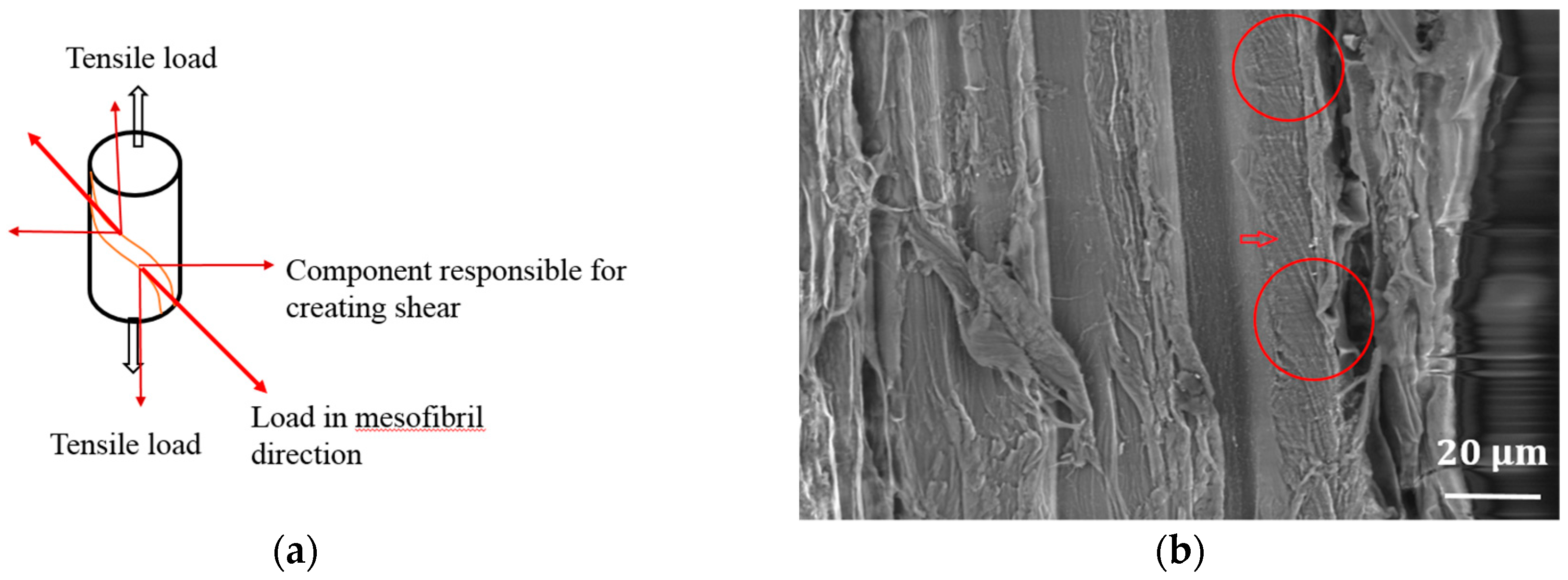 Fibers 06 00017 g008