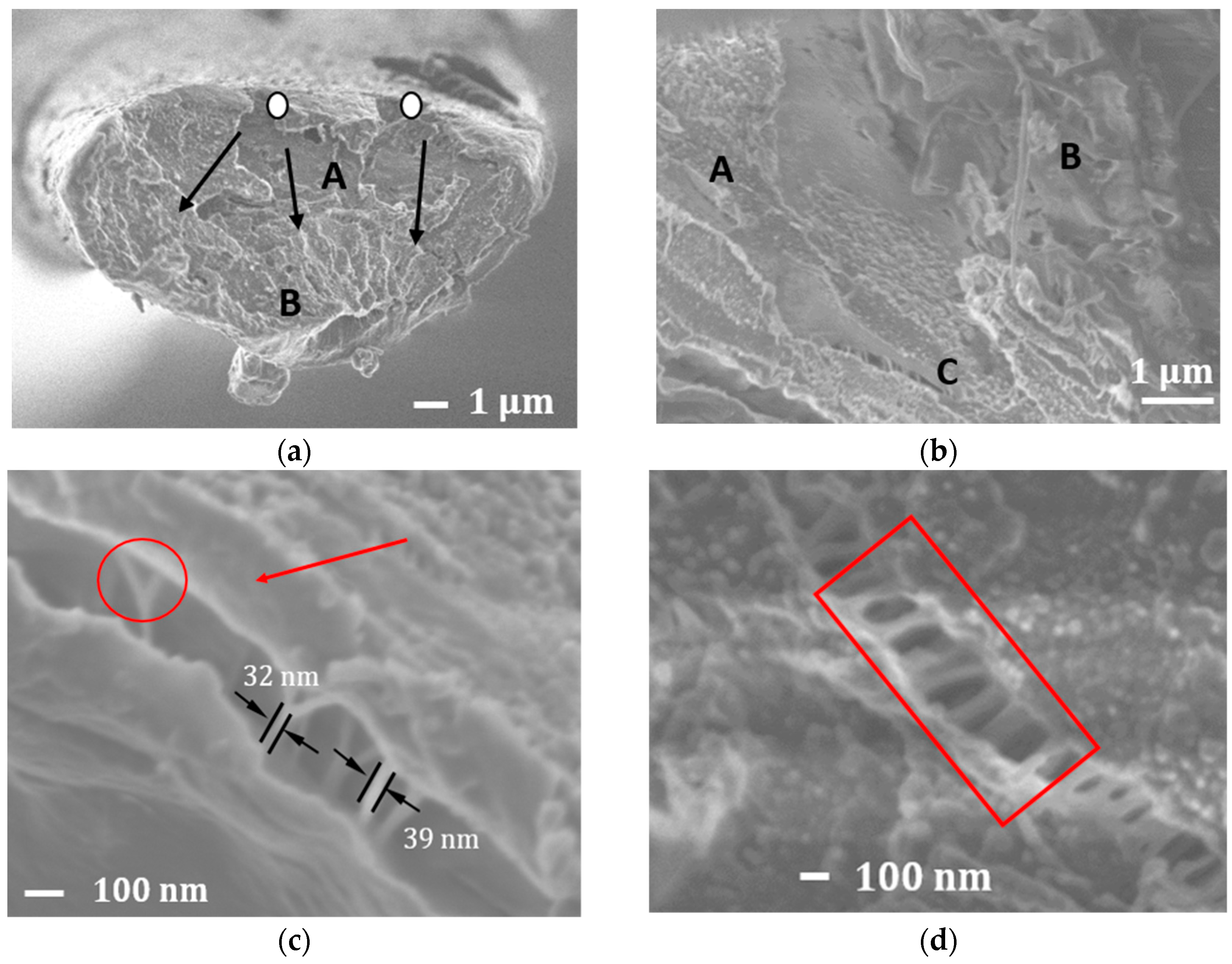 Fibers 06 00017 g010