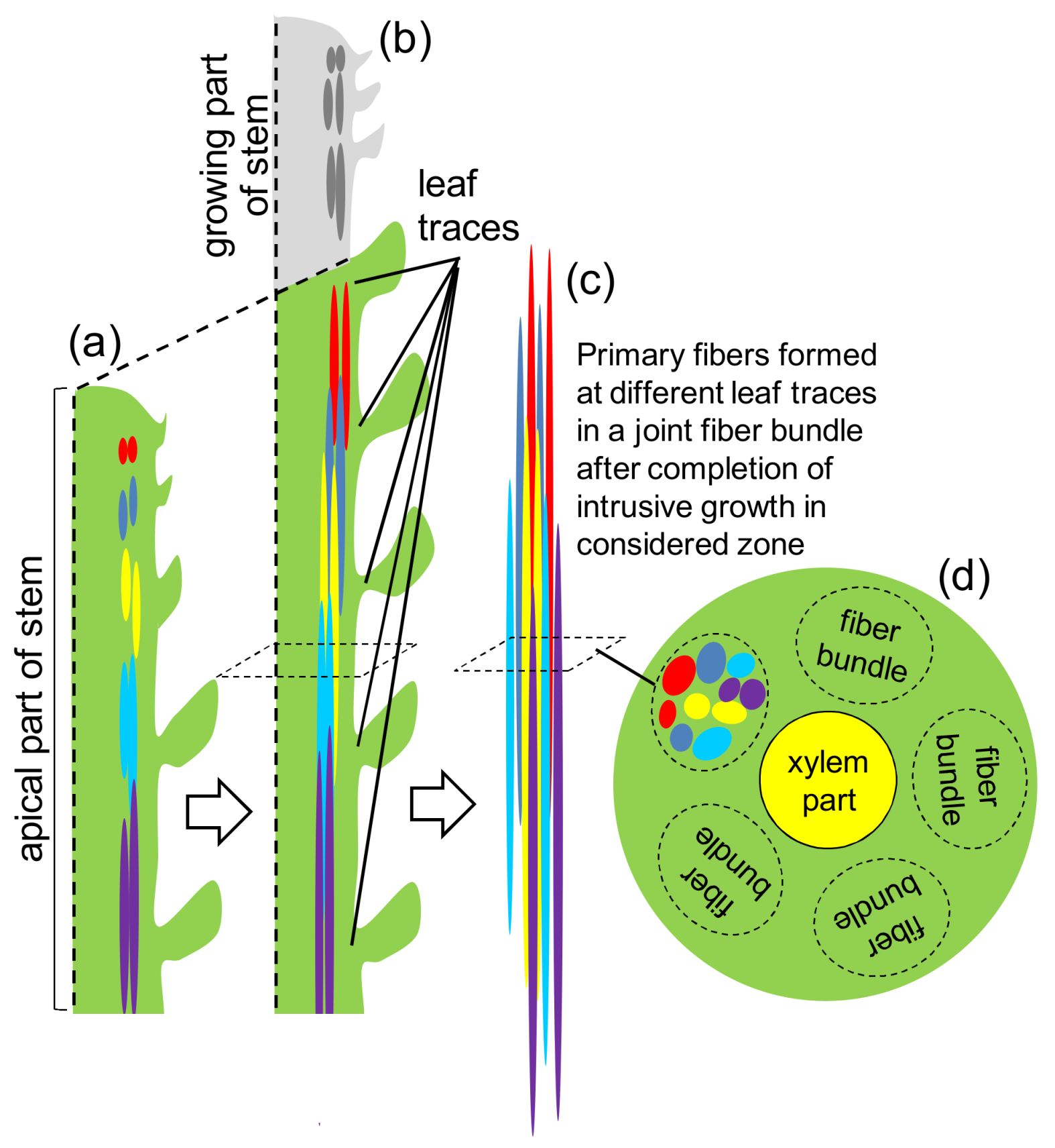 Fibers 06 00020 g001
