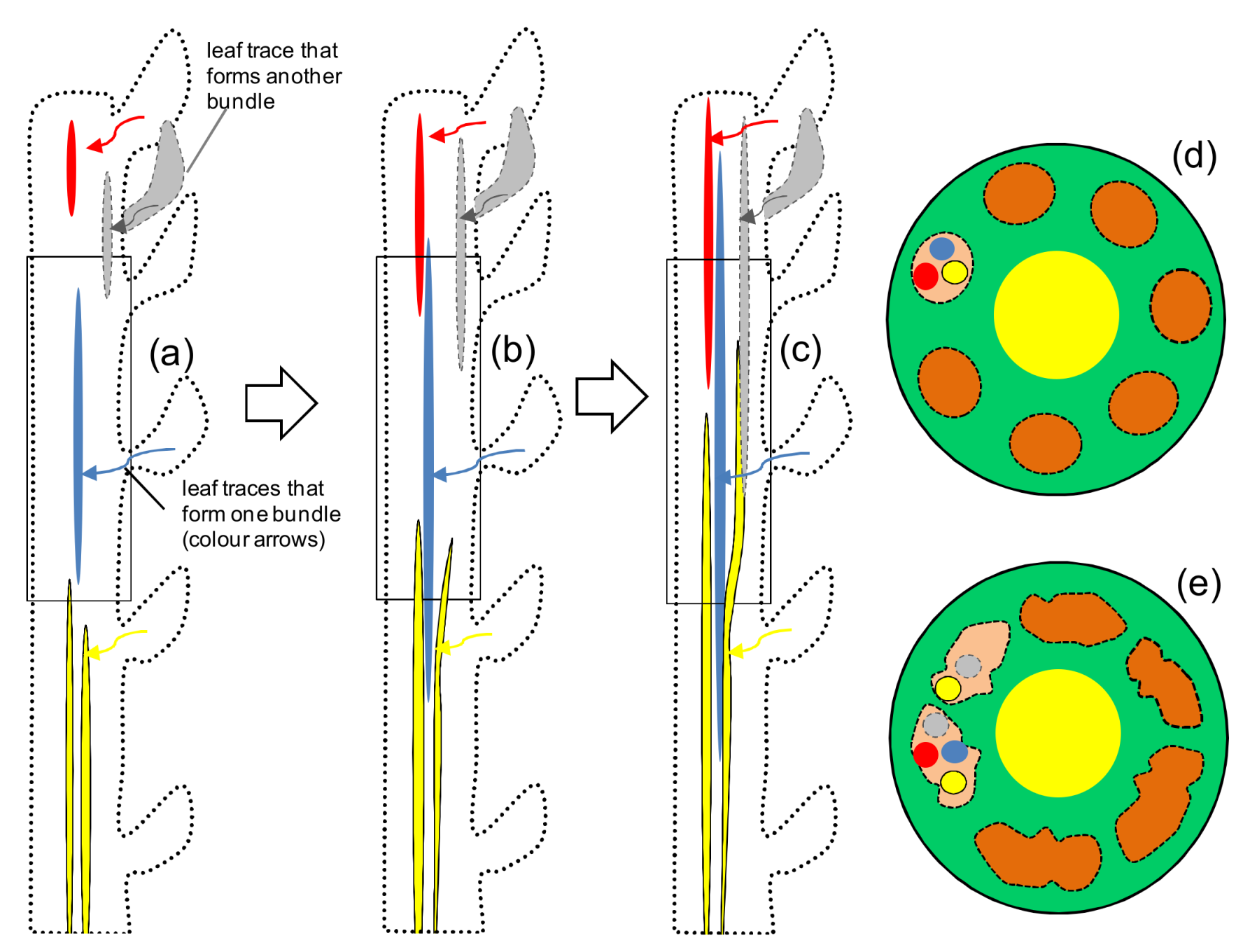 Fibers 06 00020 g002