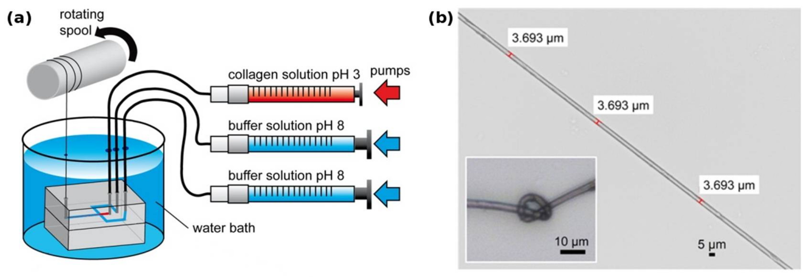 Fibers 06 00021 g001 Fibers 06 00021 g001